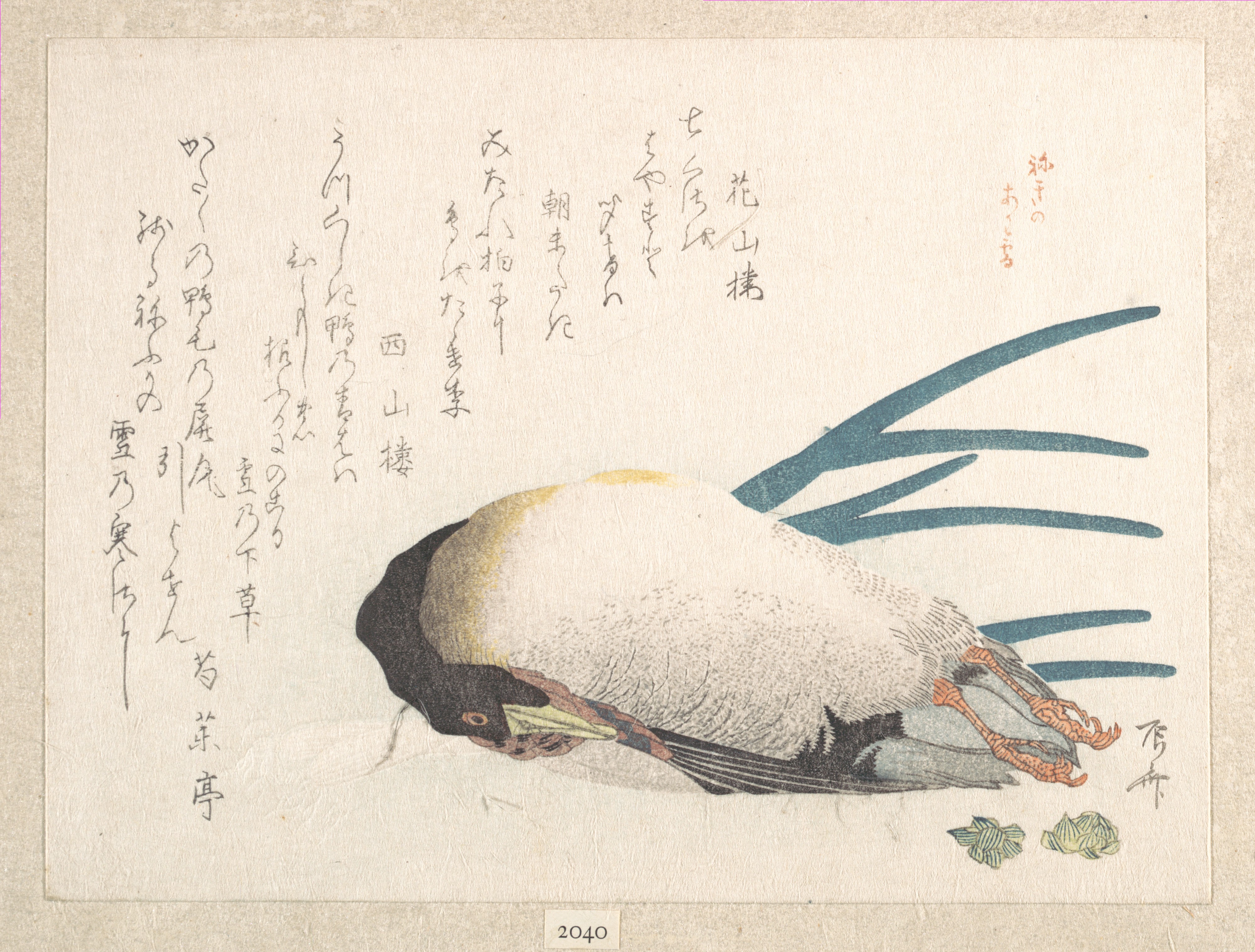 摺物帖　『春雨集』　鴨と葱