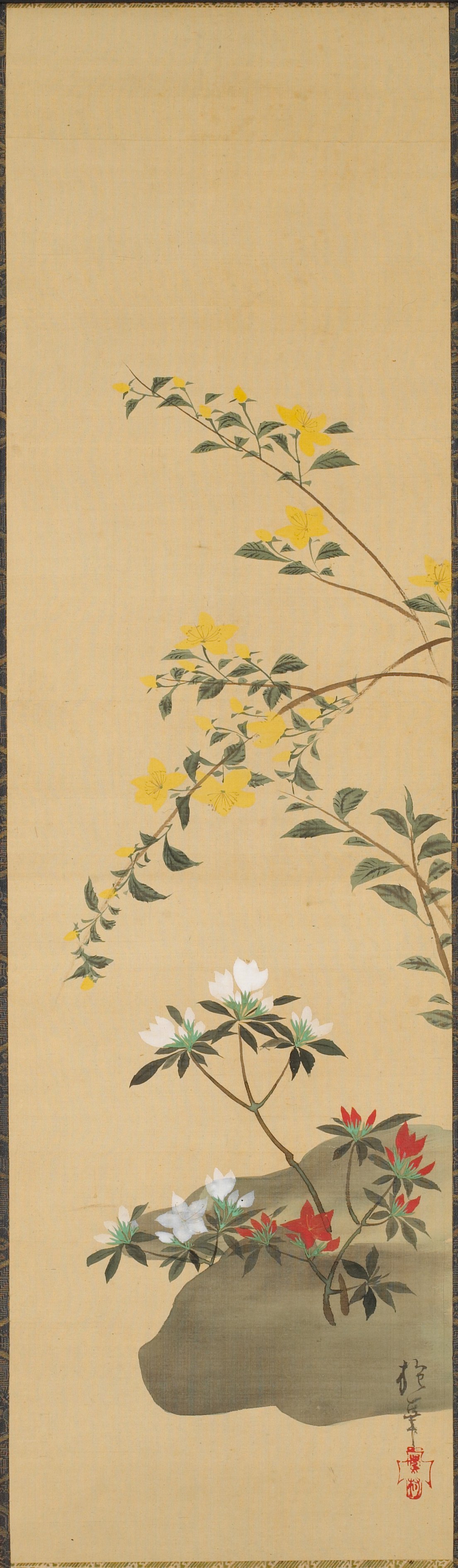 山吹