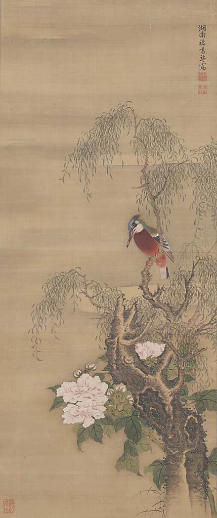 枝に翡翠