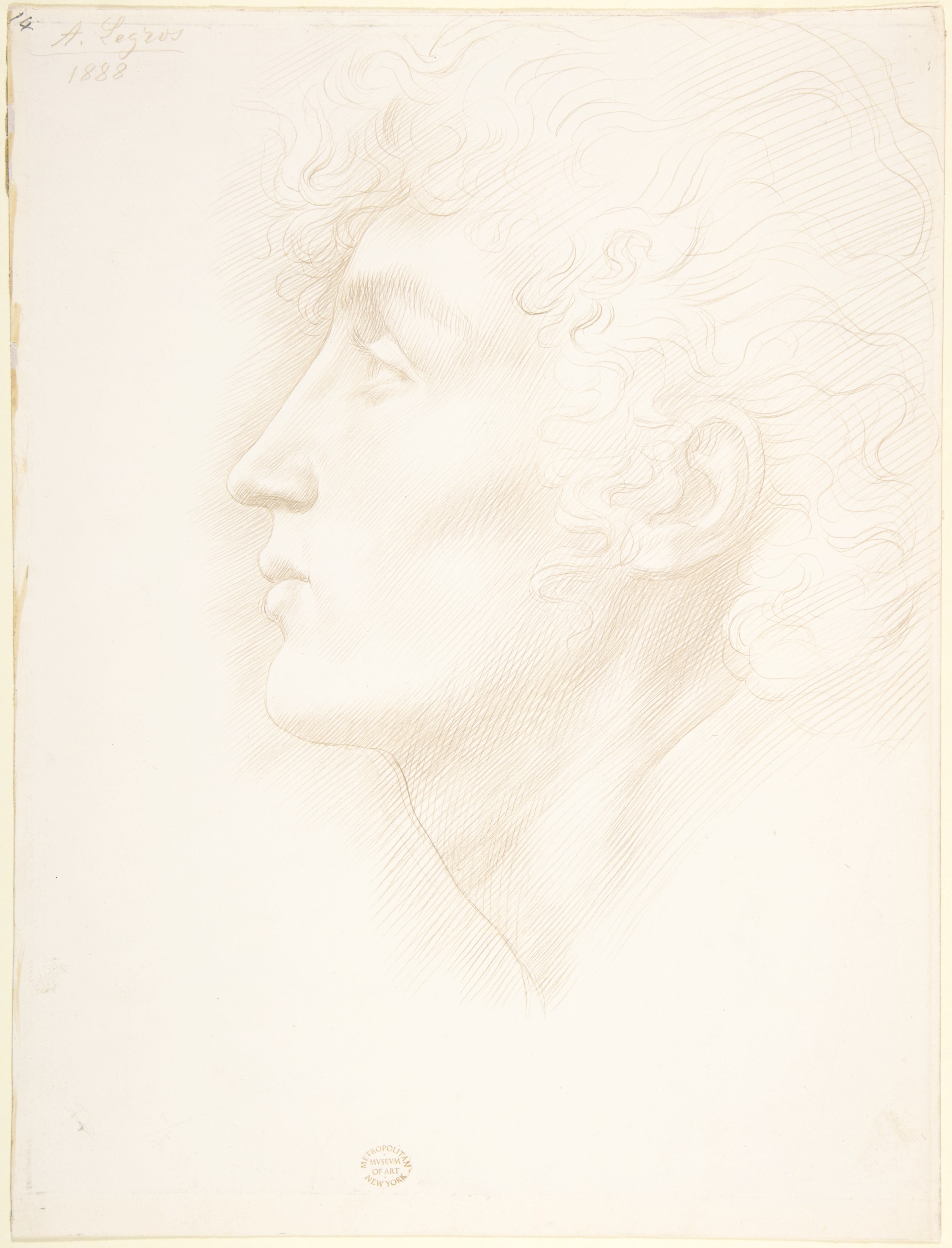 アイルランドの女の子の頭