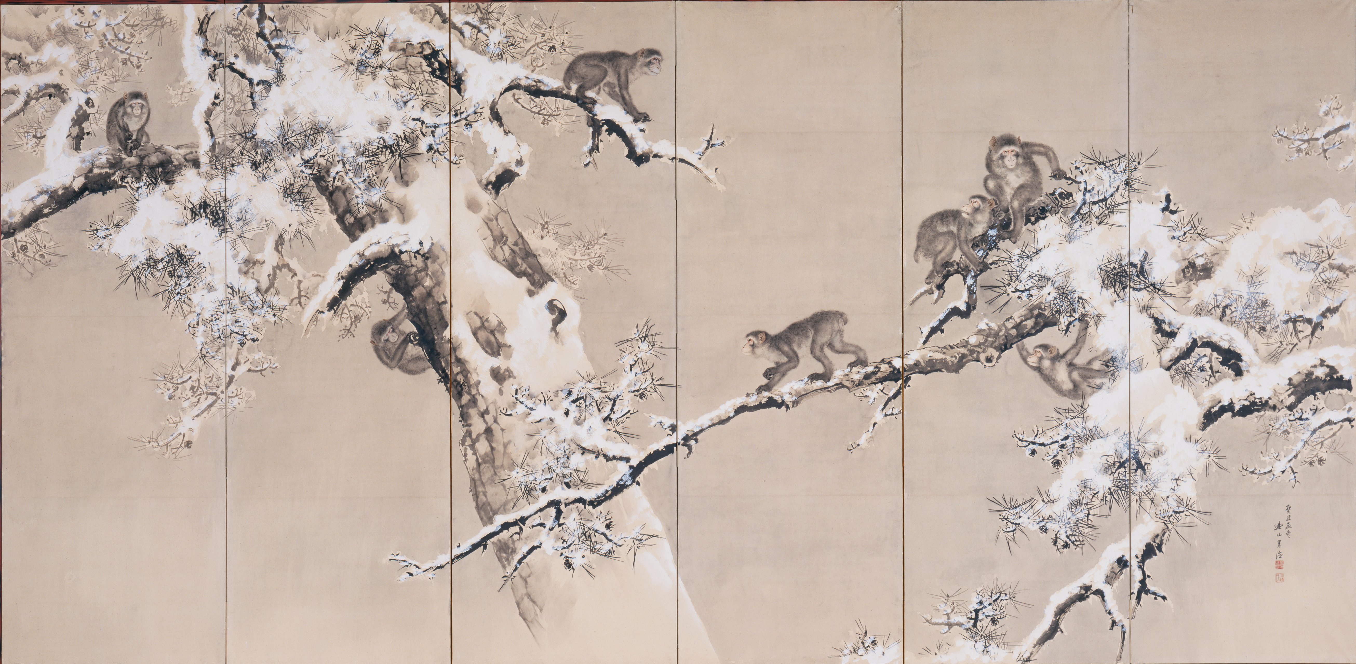 松の木の猿