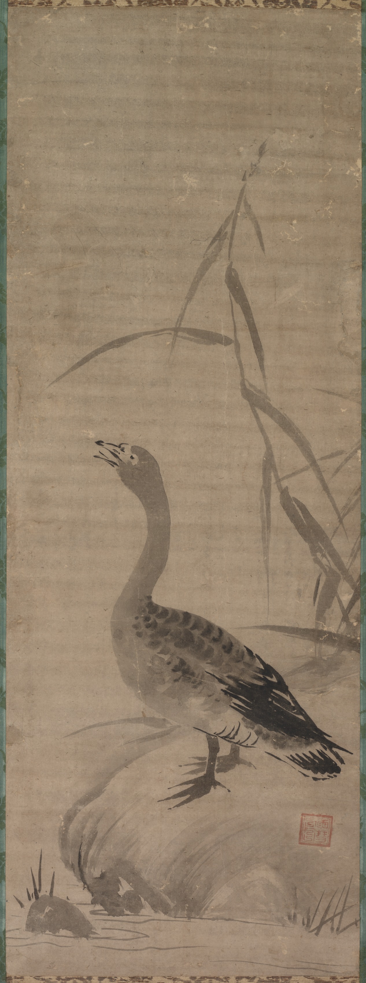 鵞鳥