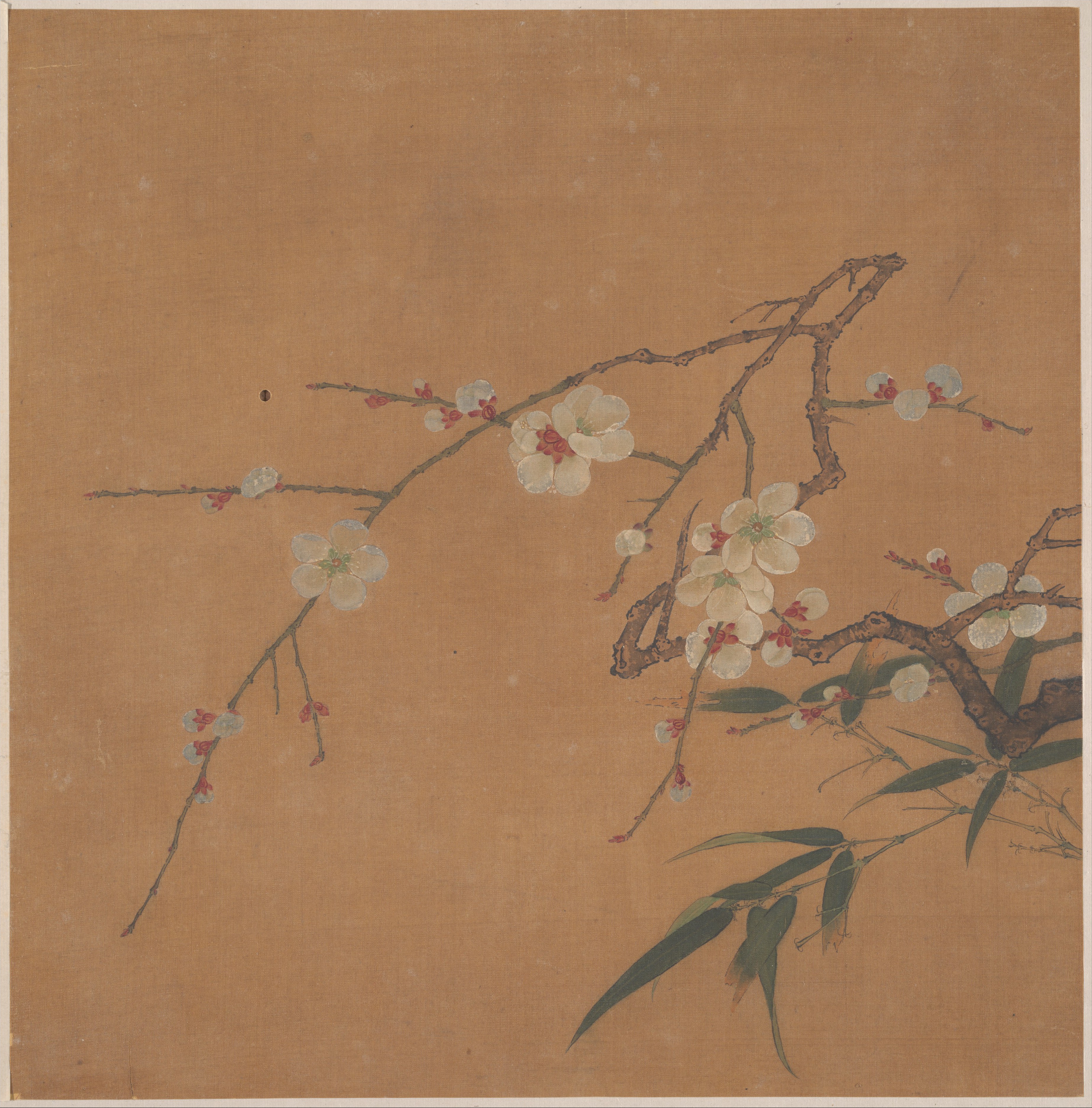 明清匿名の梅と竹のアルバム|開花する梅と竹