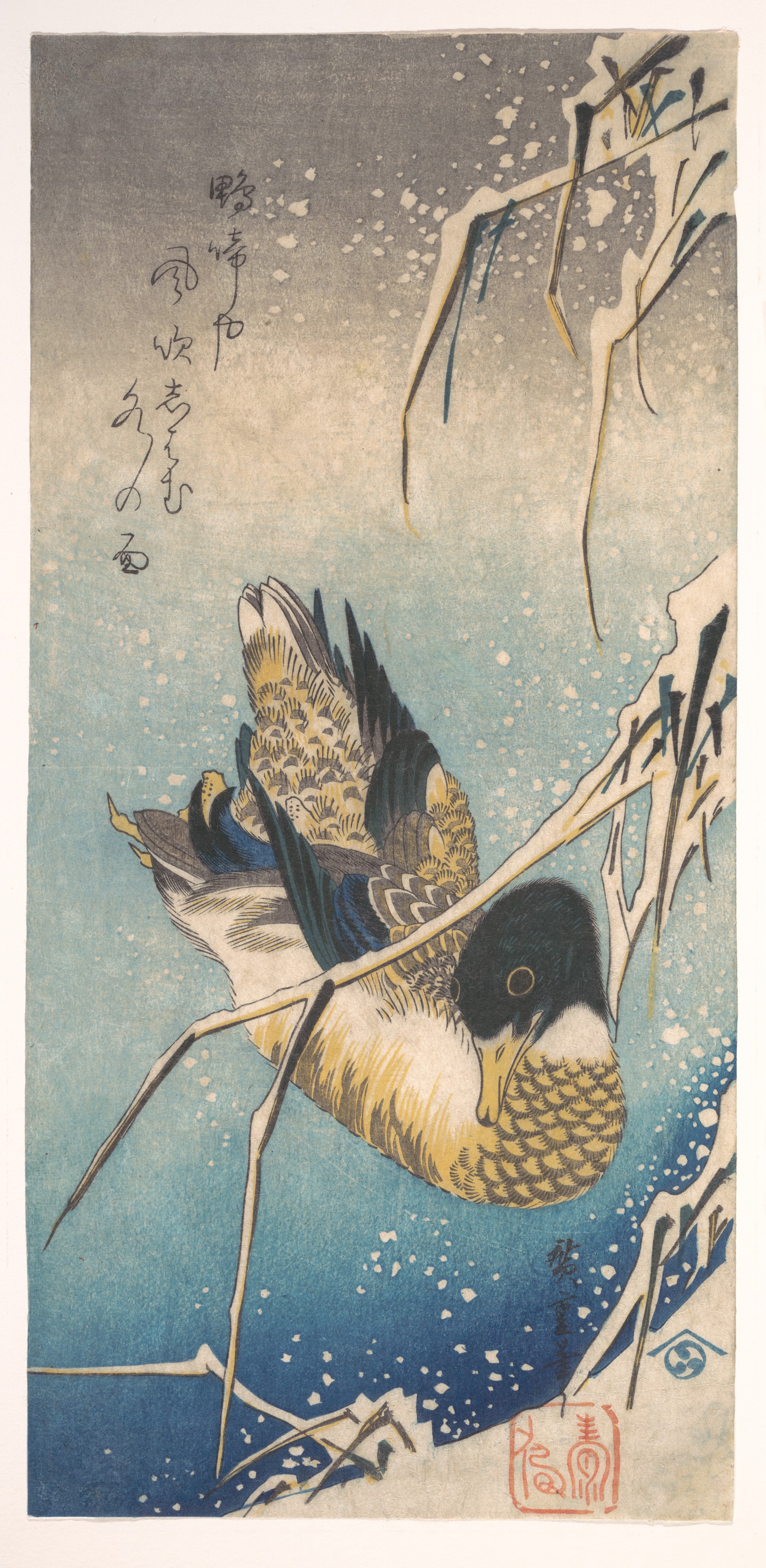 歌川広重画　雪中芦に鴨
