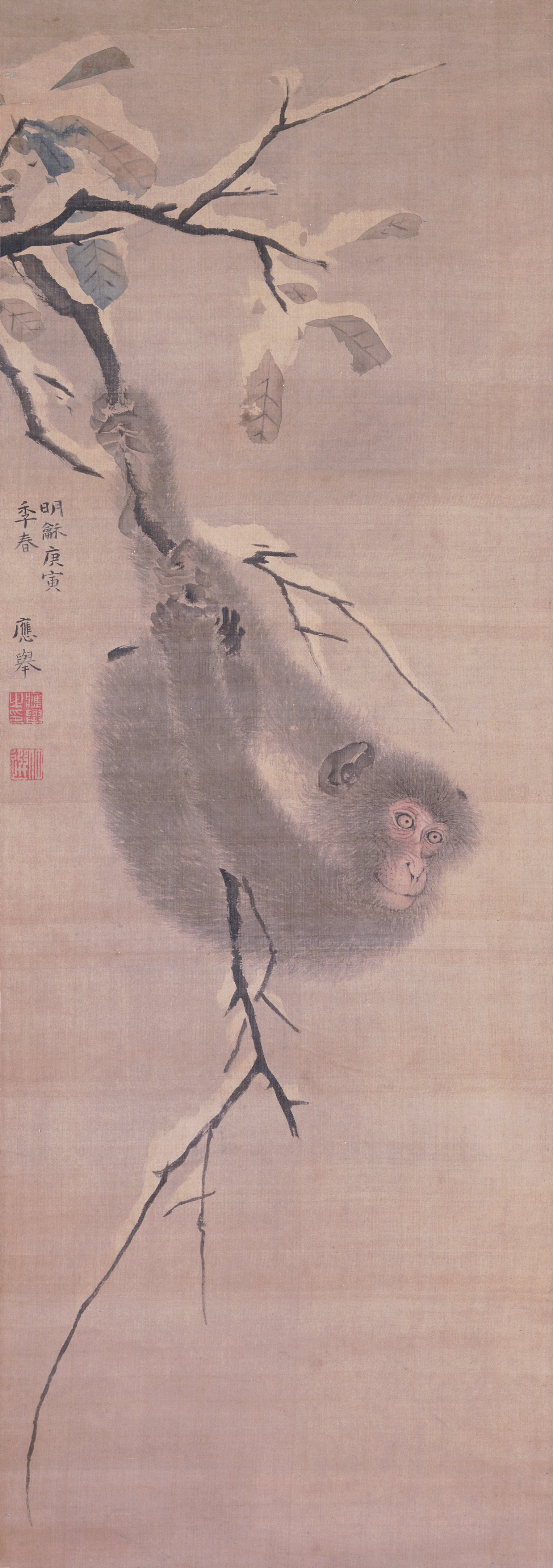 枝にぶら下がる猿