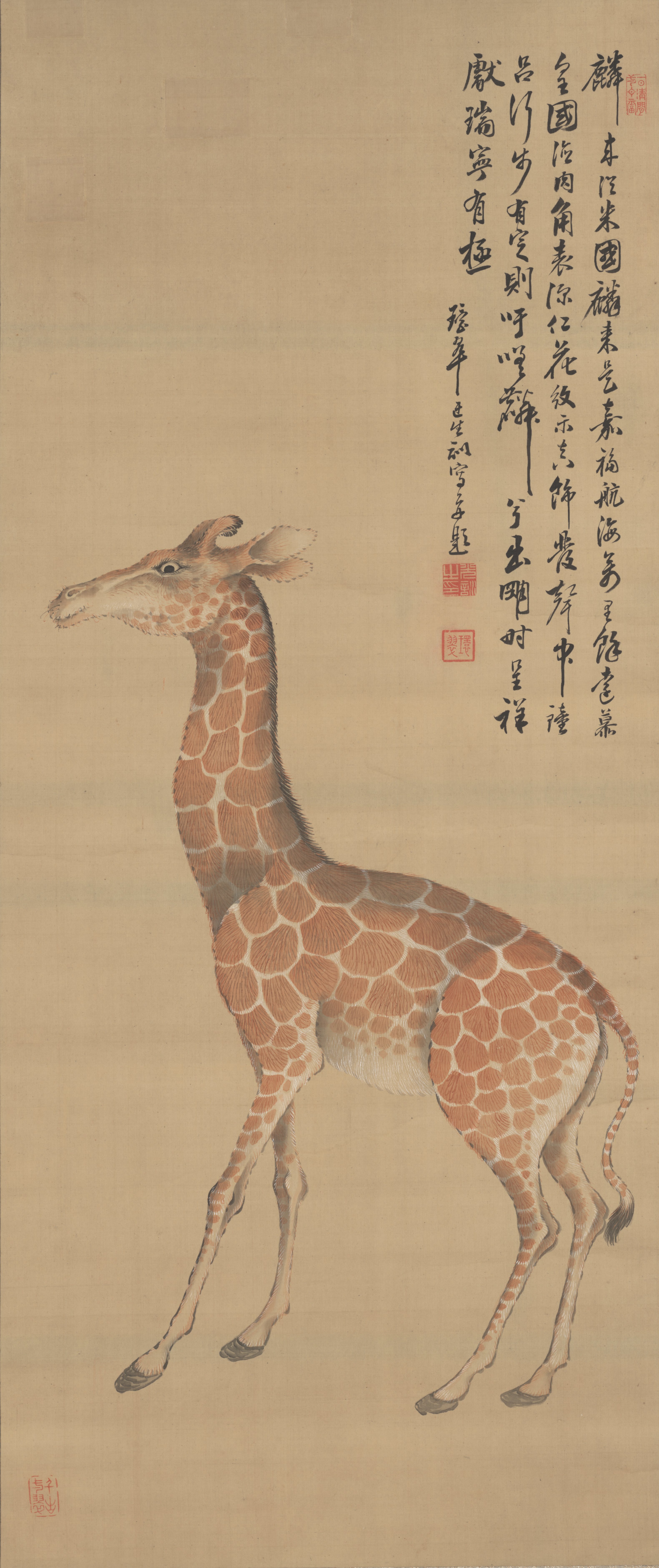 キリン