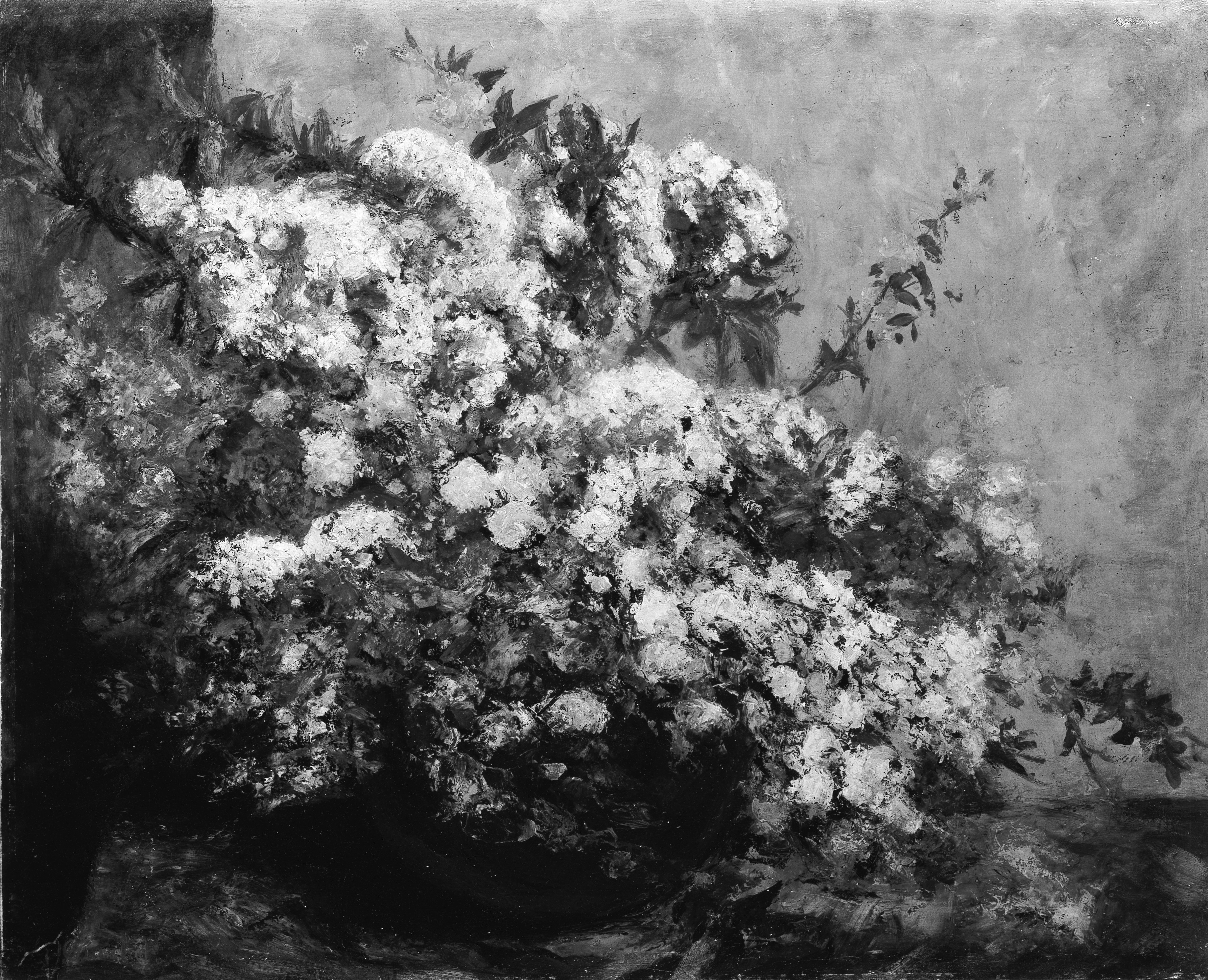春の花々