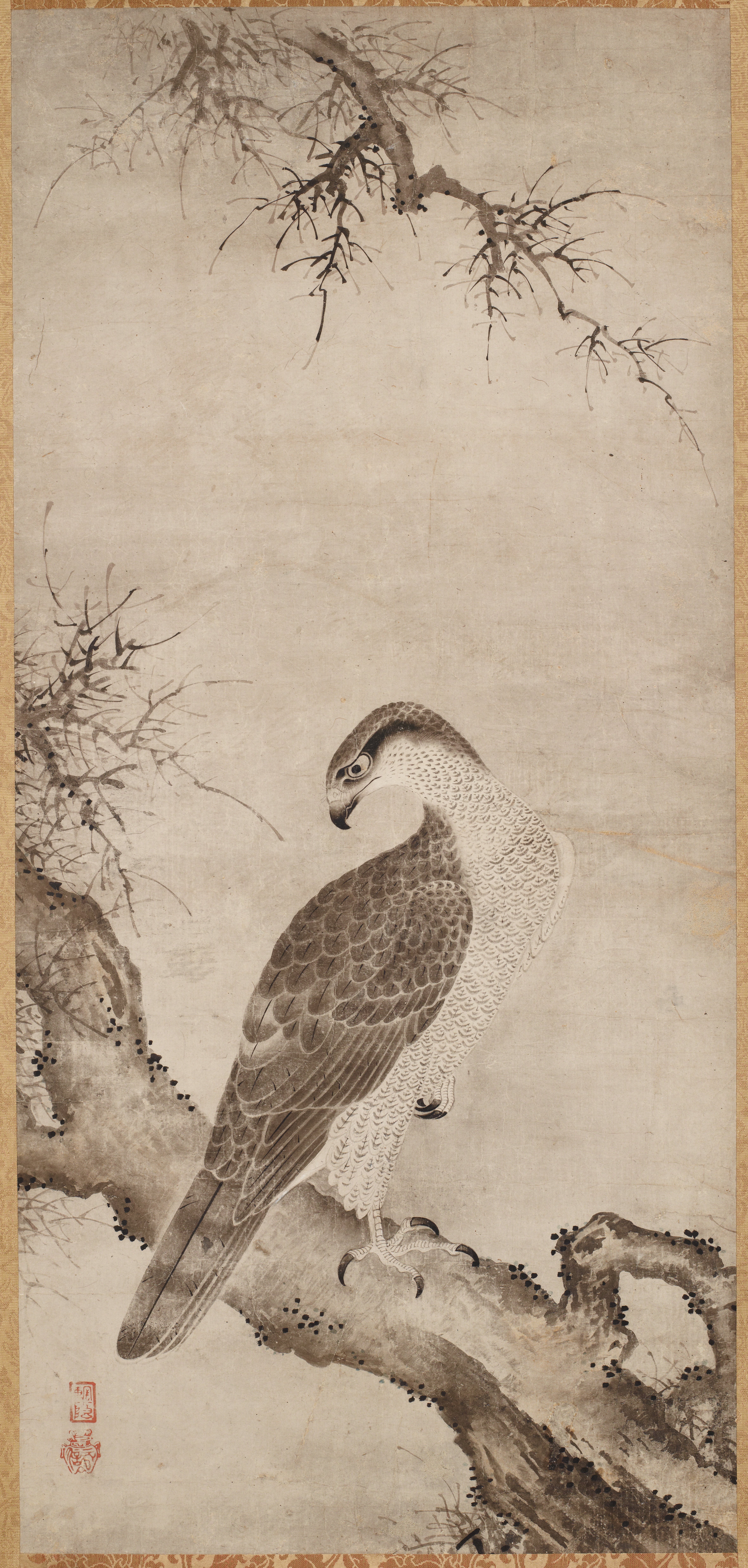 鷹