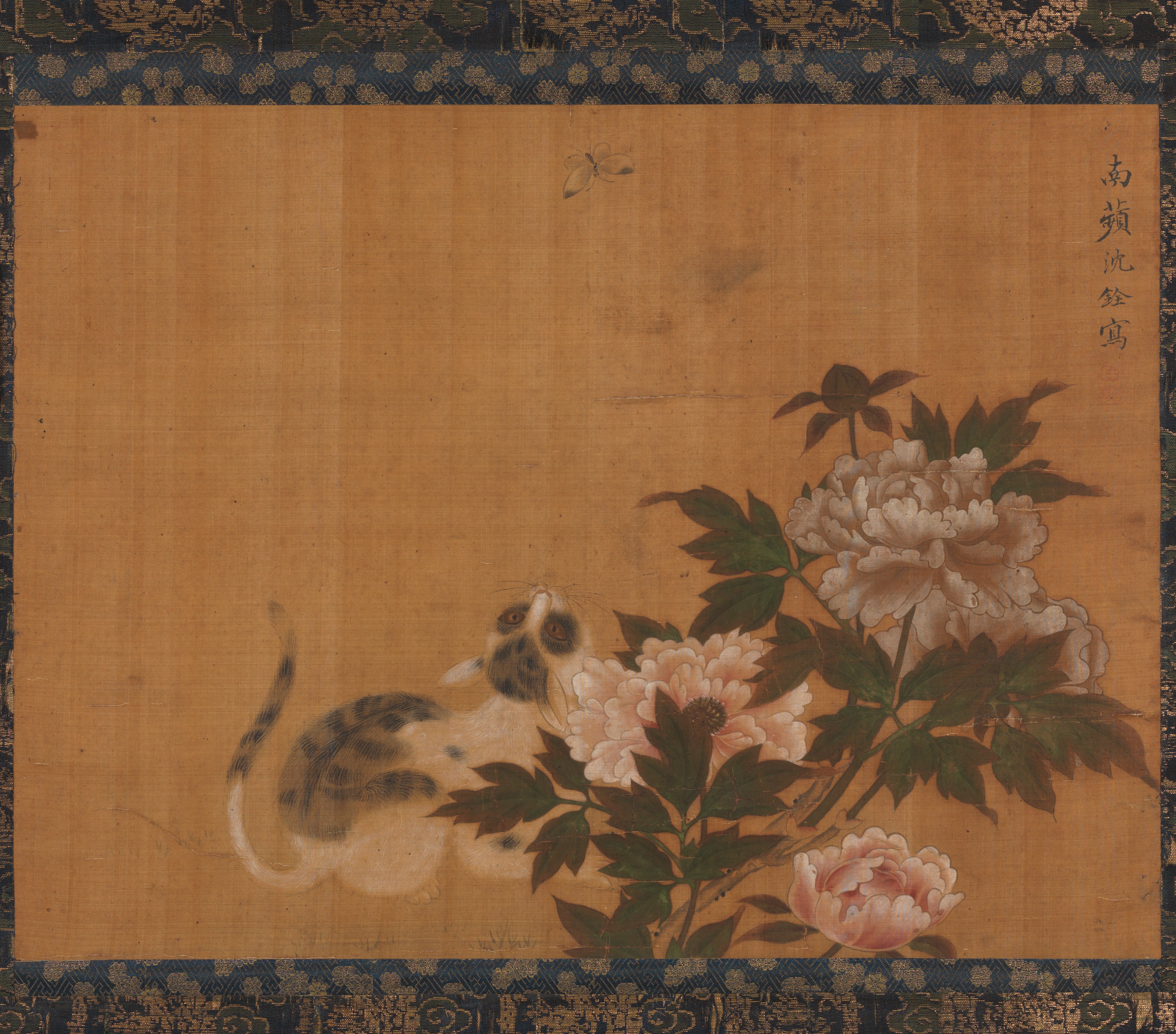 牡丹の中の猫と蝶
