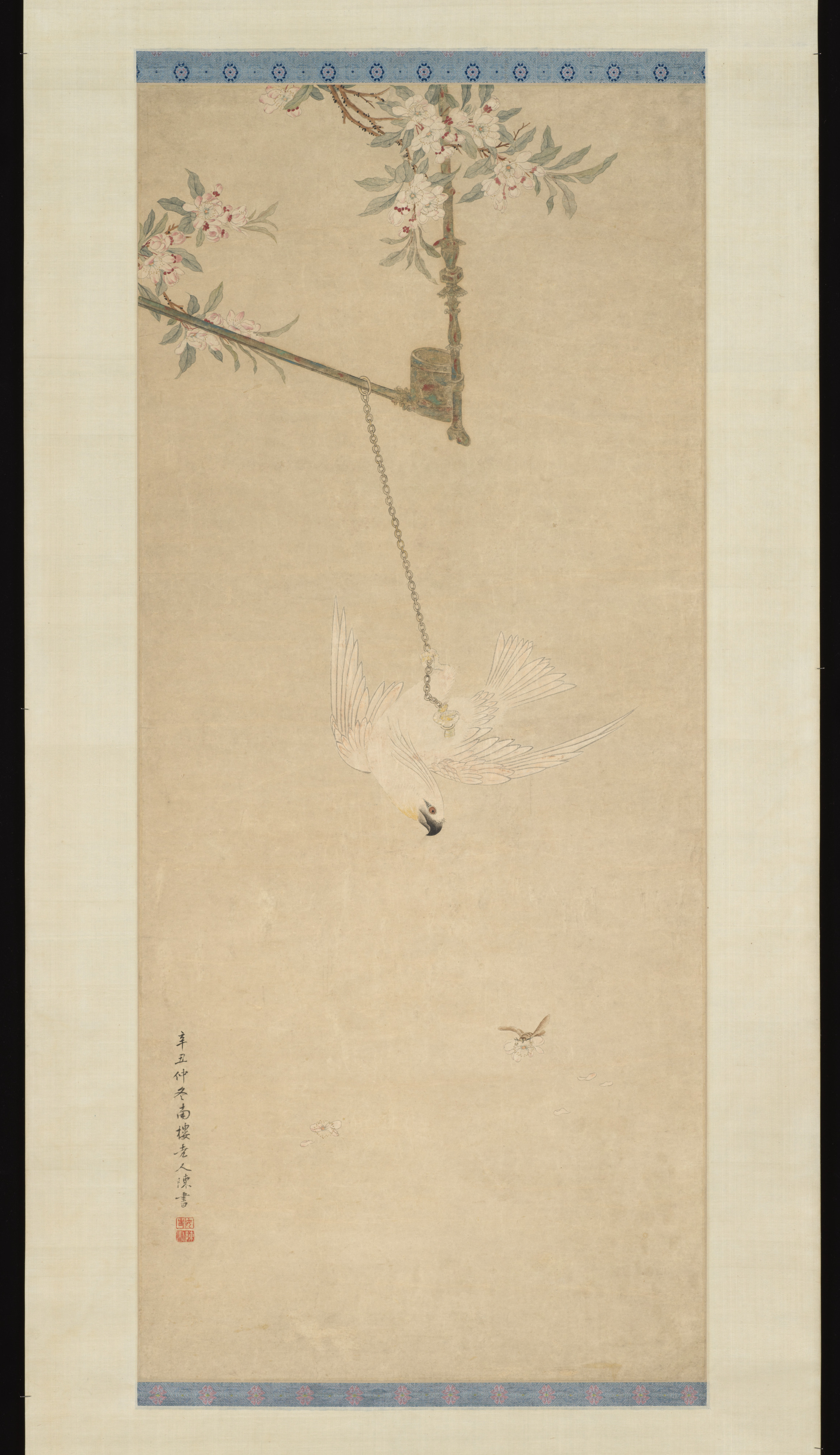 清朝の陳叔白鸚鵡絵軸|オウム