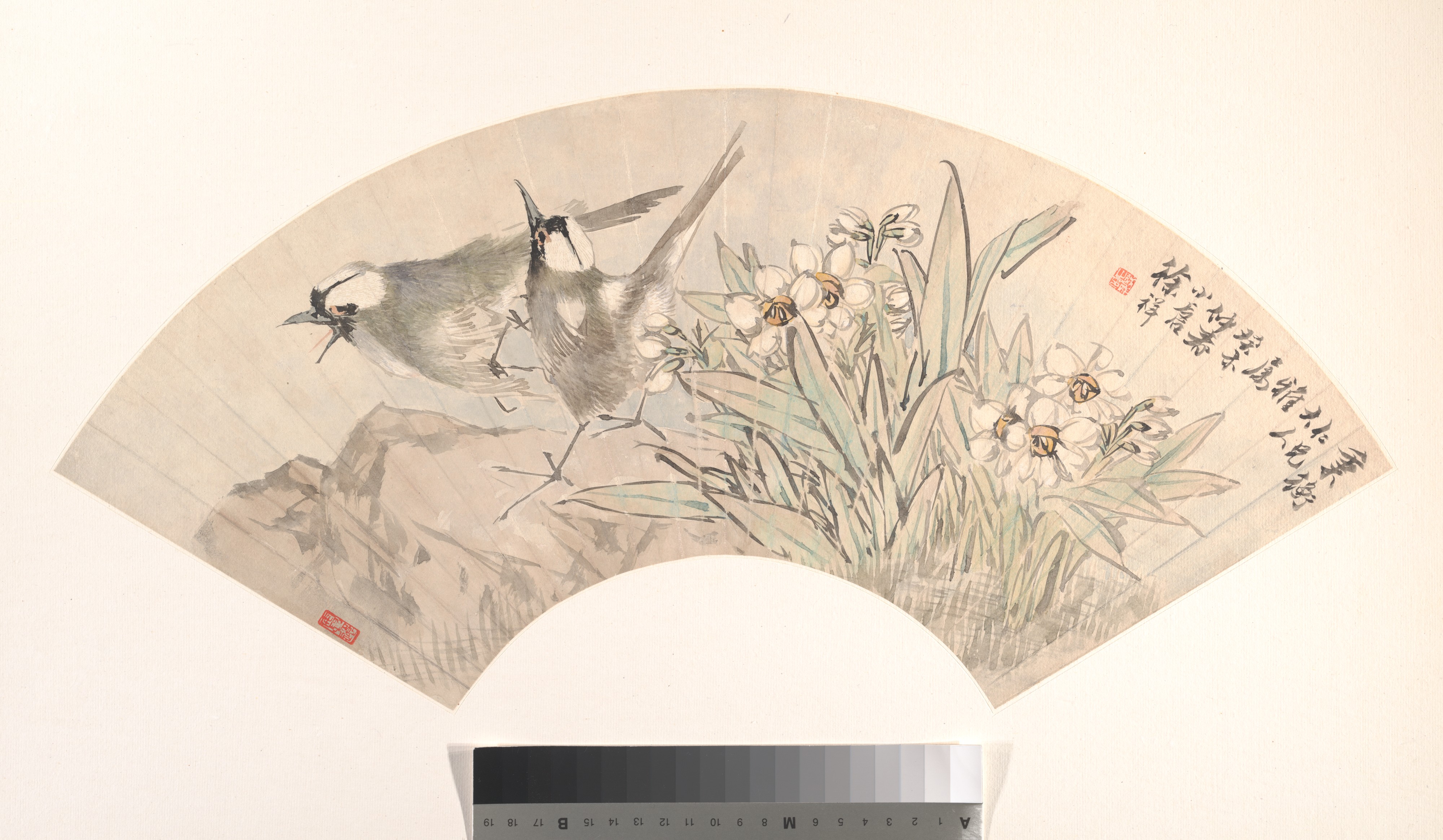 清代徐翔 鳥と水仙扇|鳥と水仙