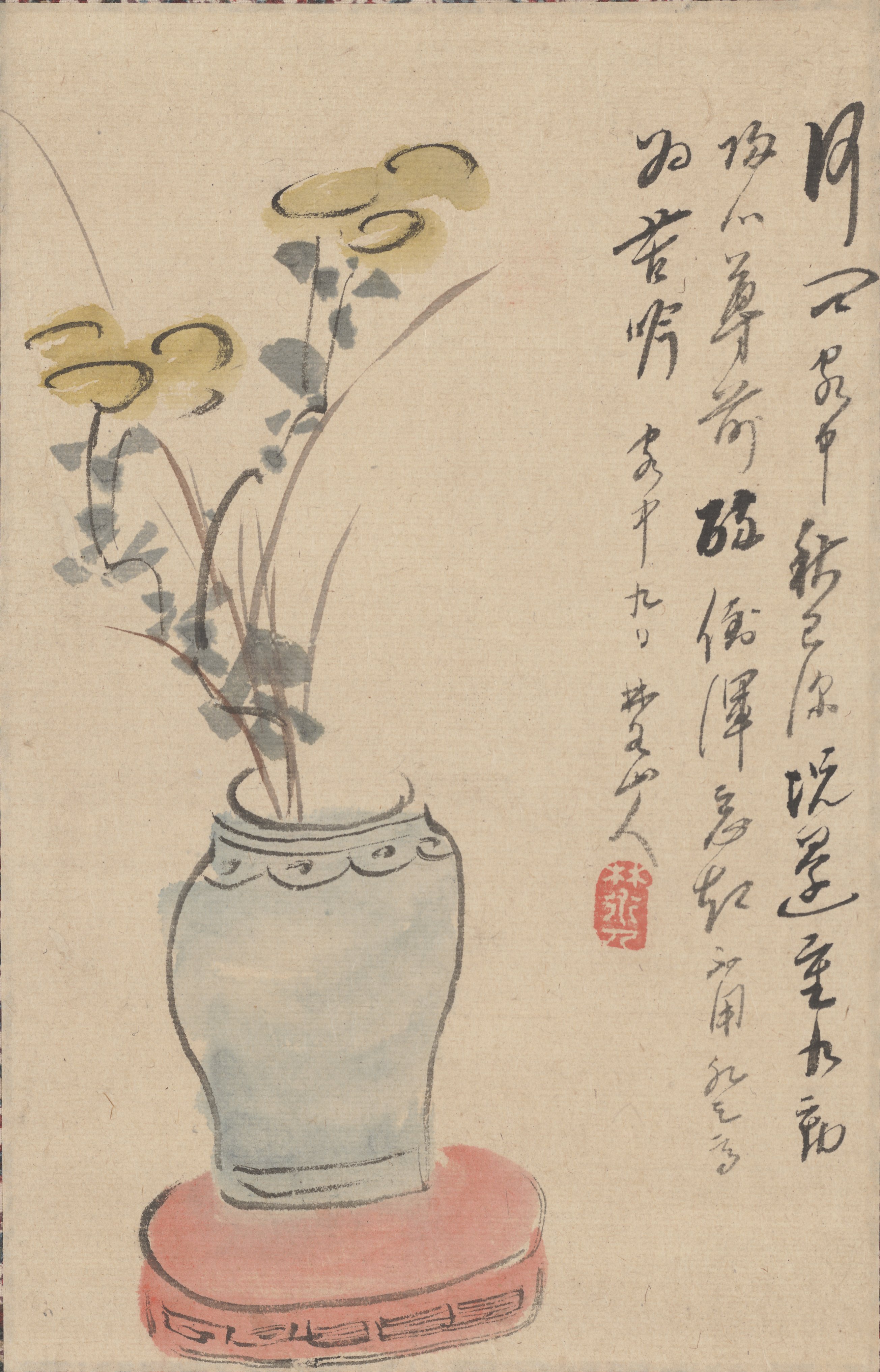黄菊