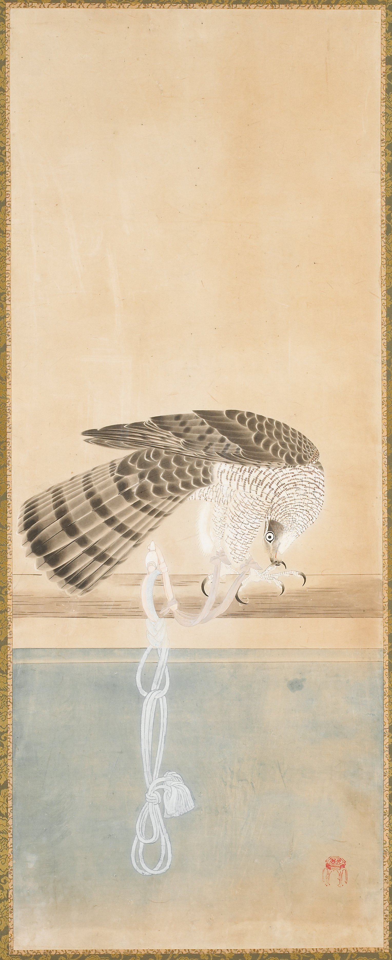 鷹