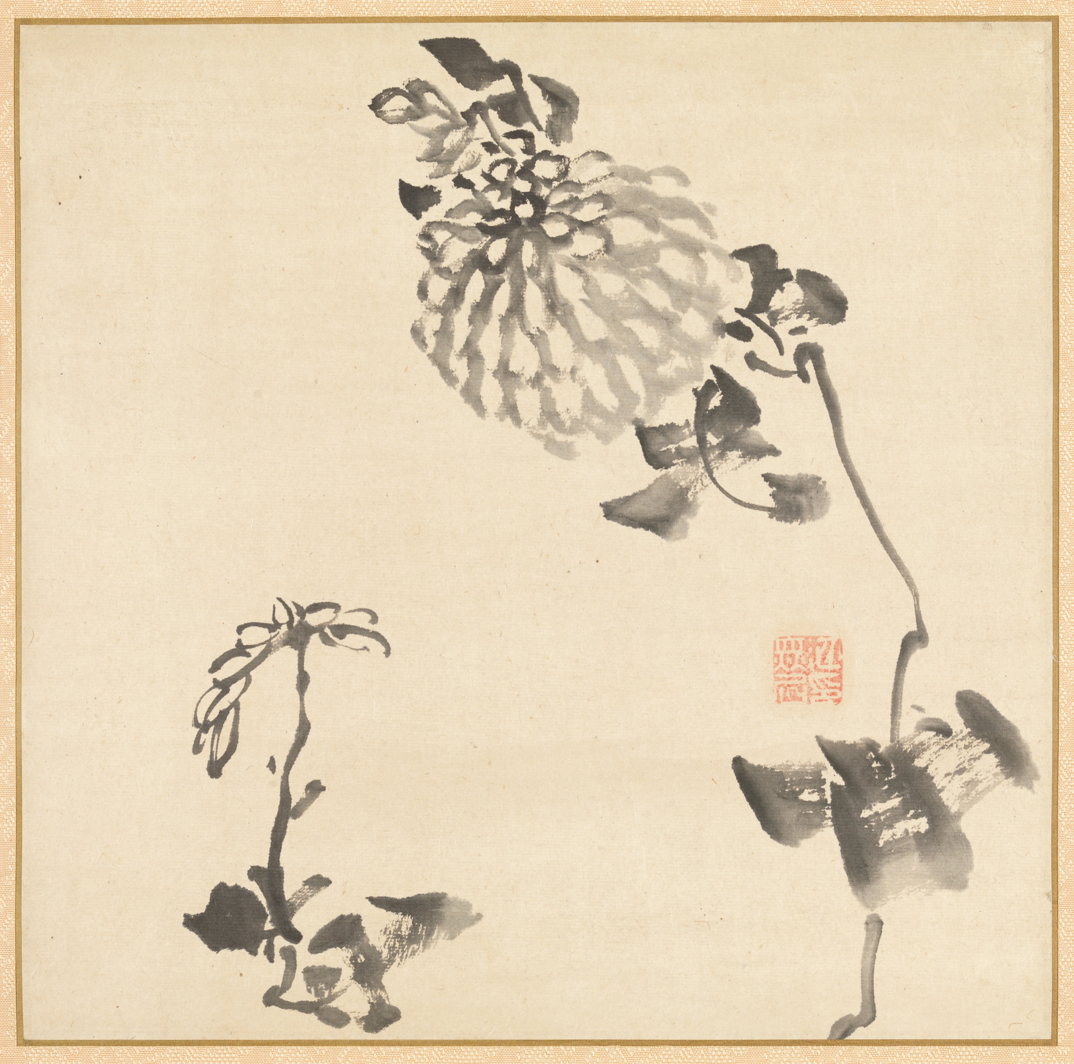 菊