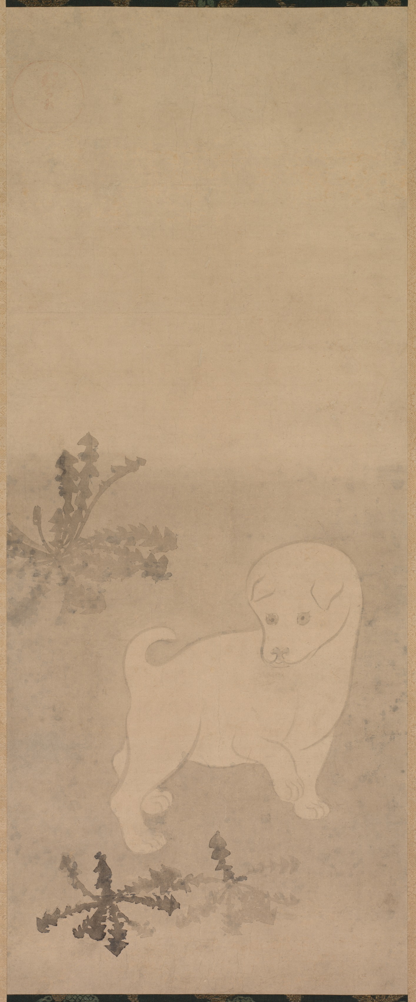 タンポポと子犬