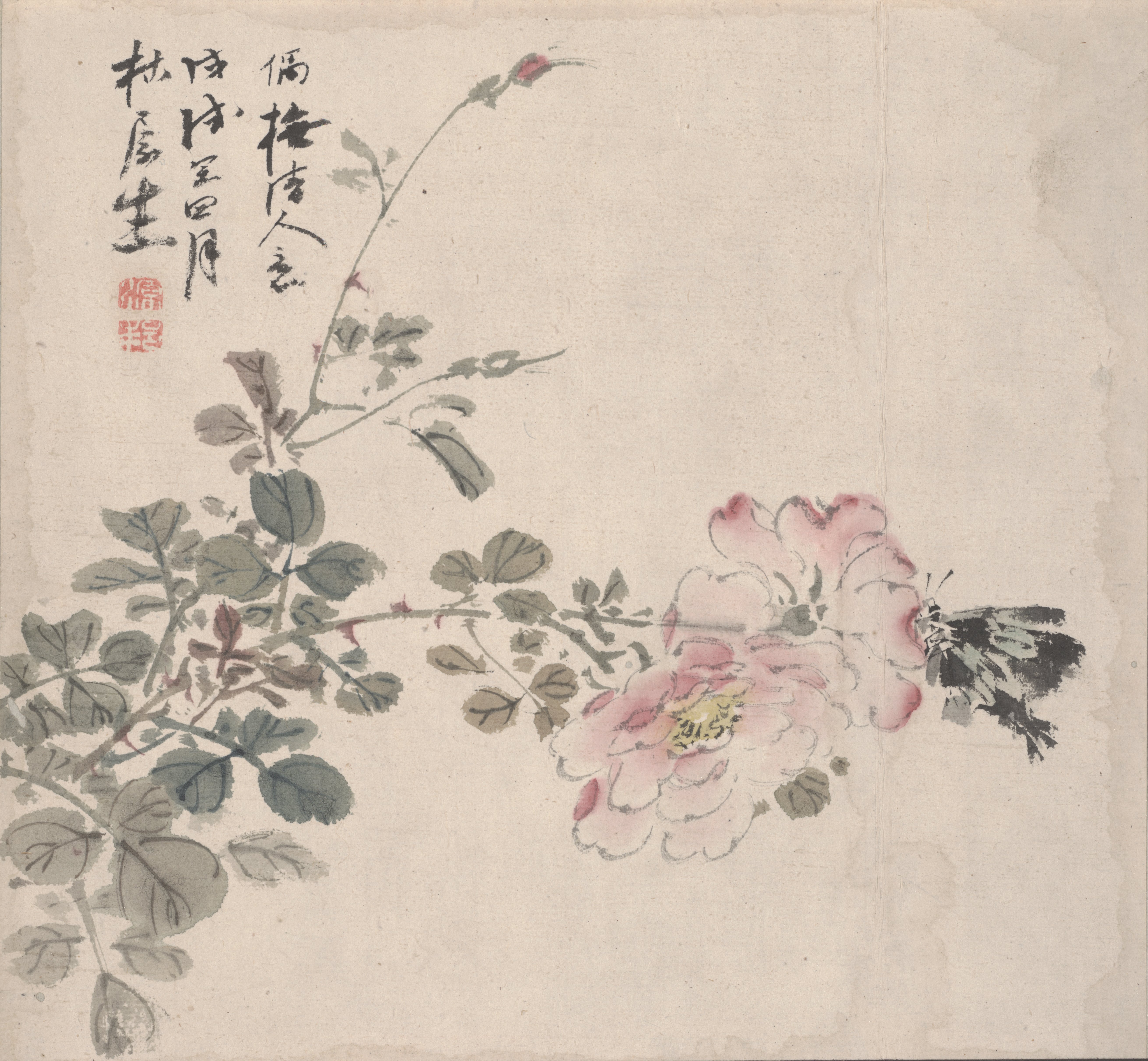 花と蝶