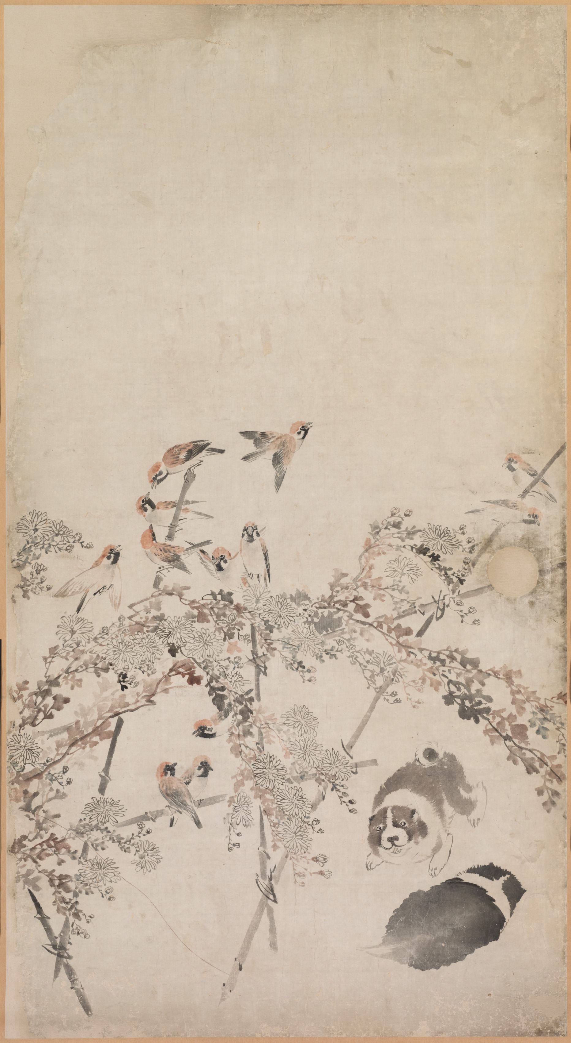 子犬と雀と菊