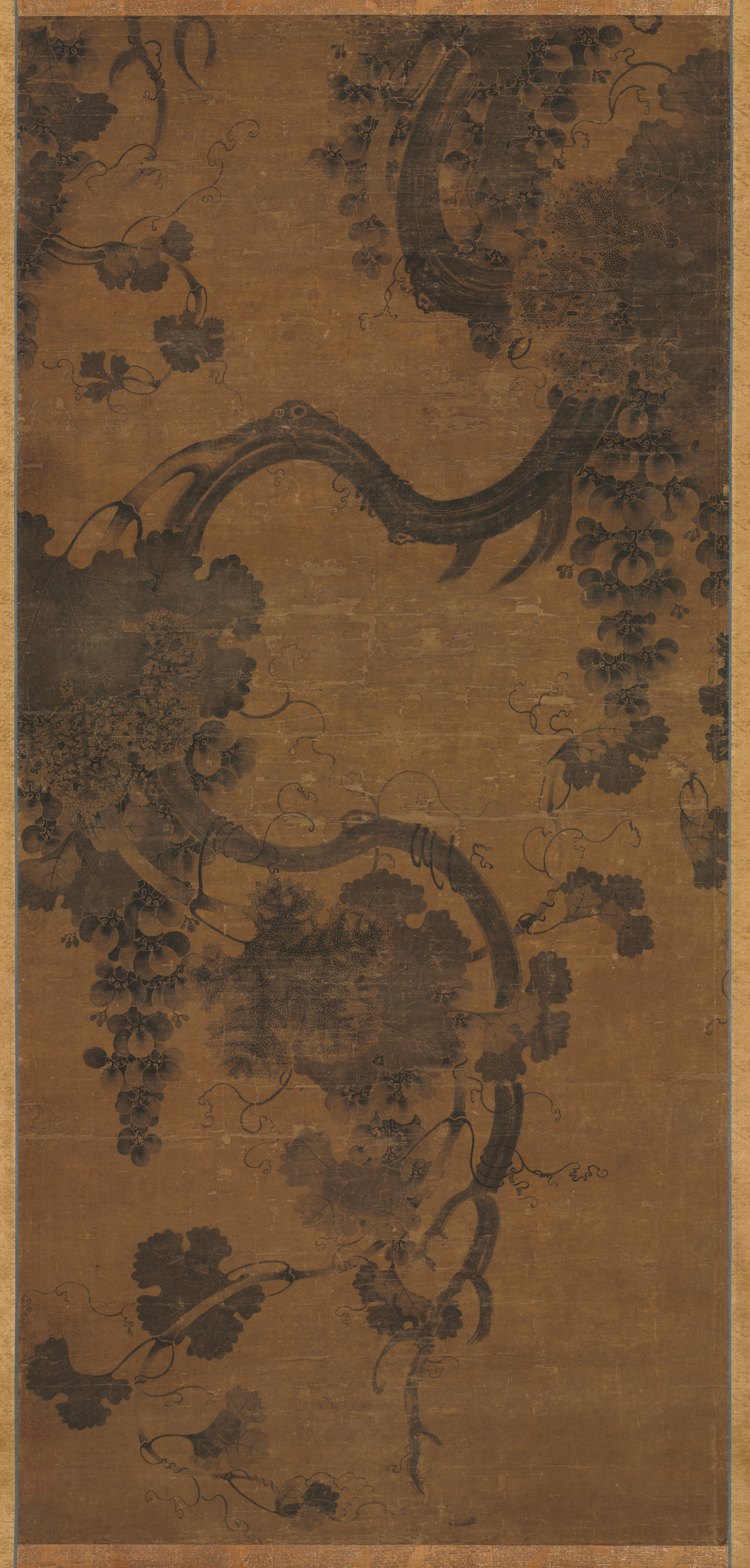 葡萄