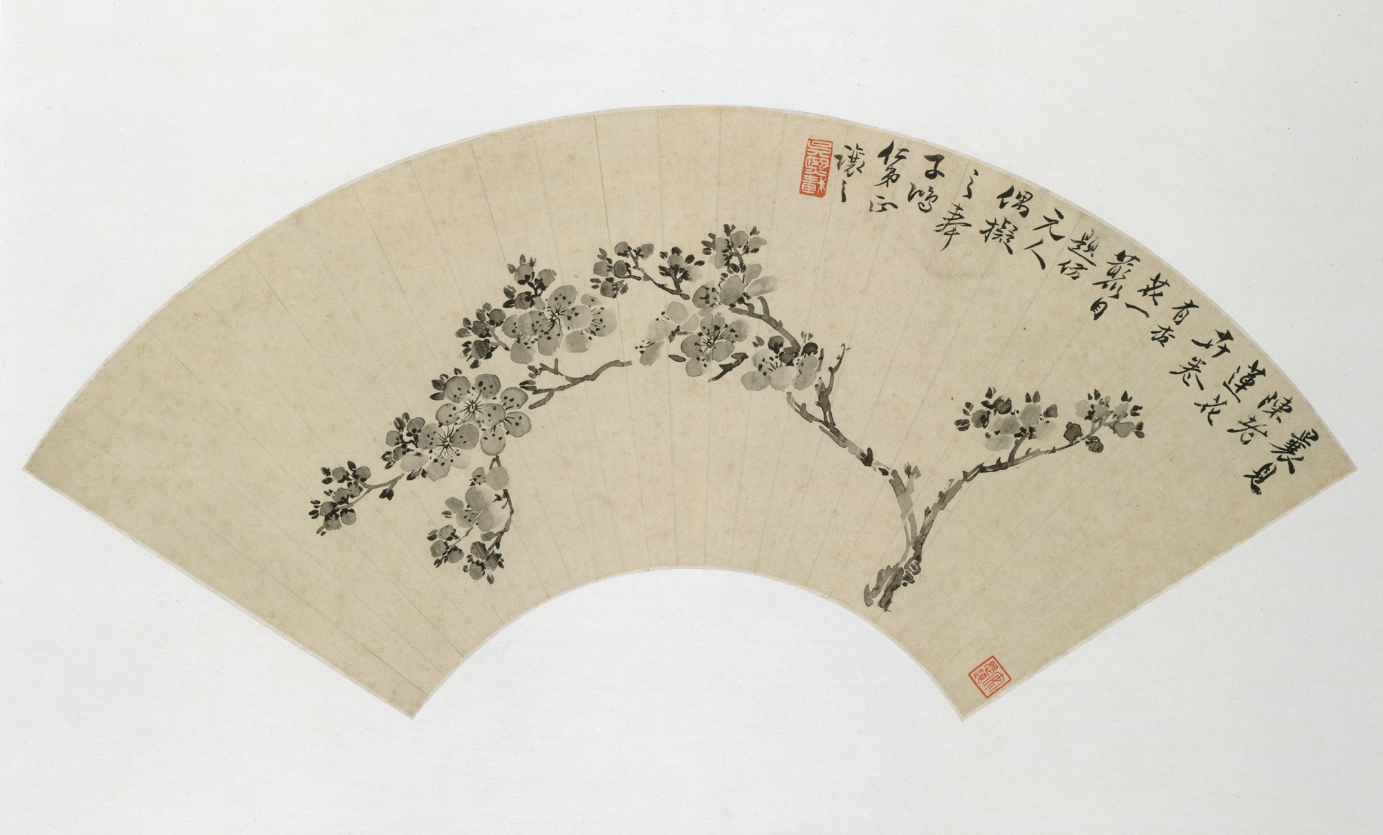 呉熙載、清朝、杏の花扇 |アプリコット