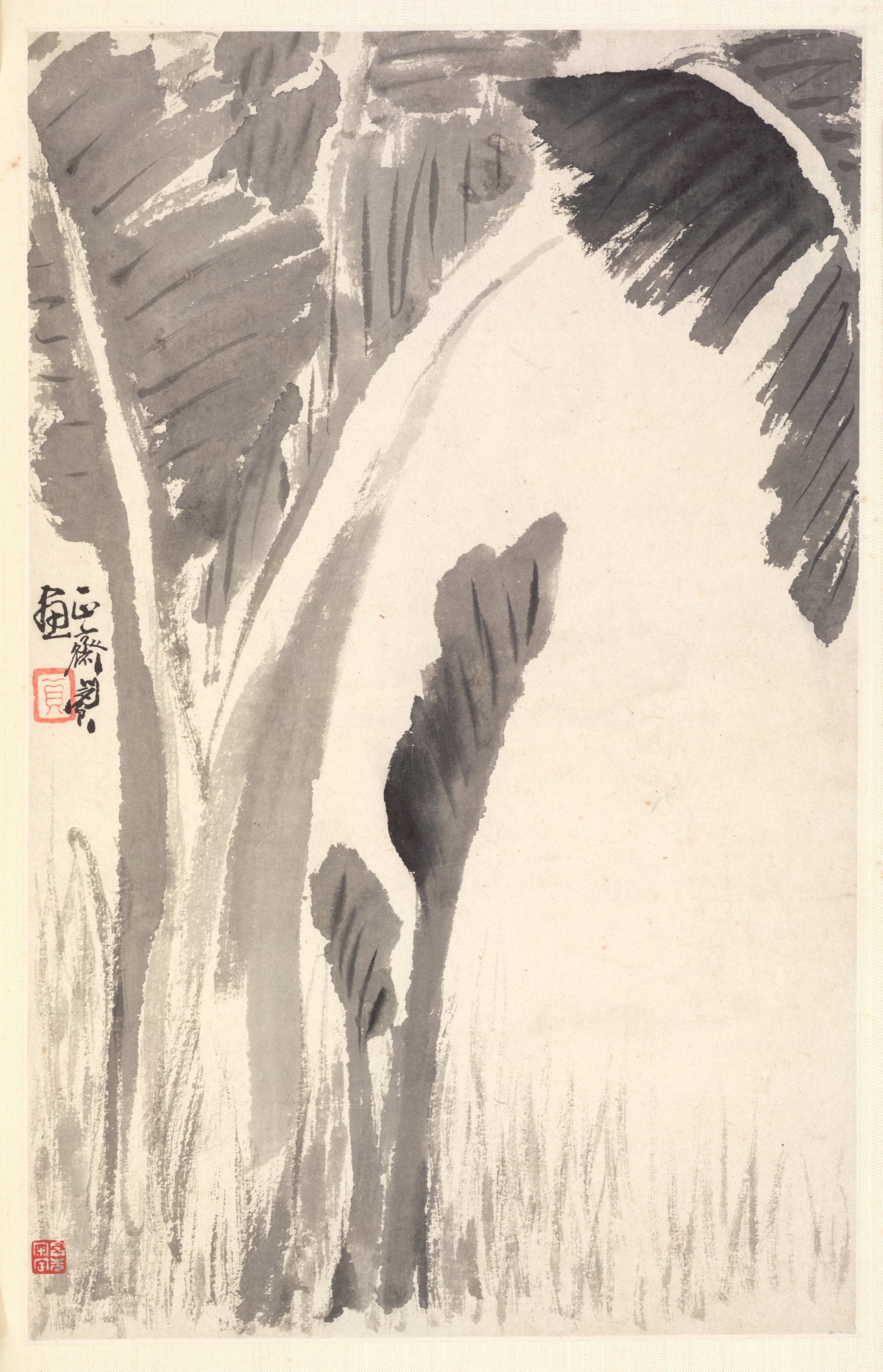 芭蕉