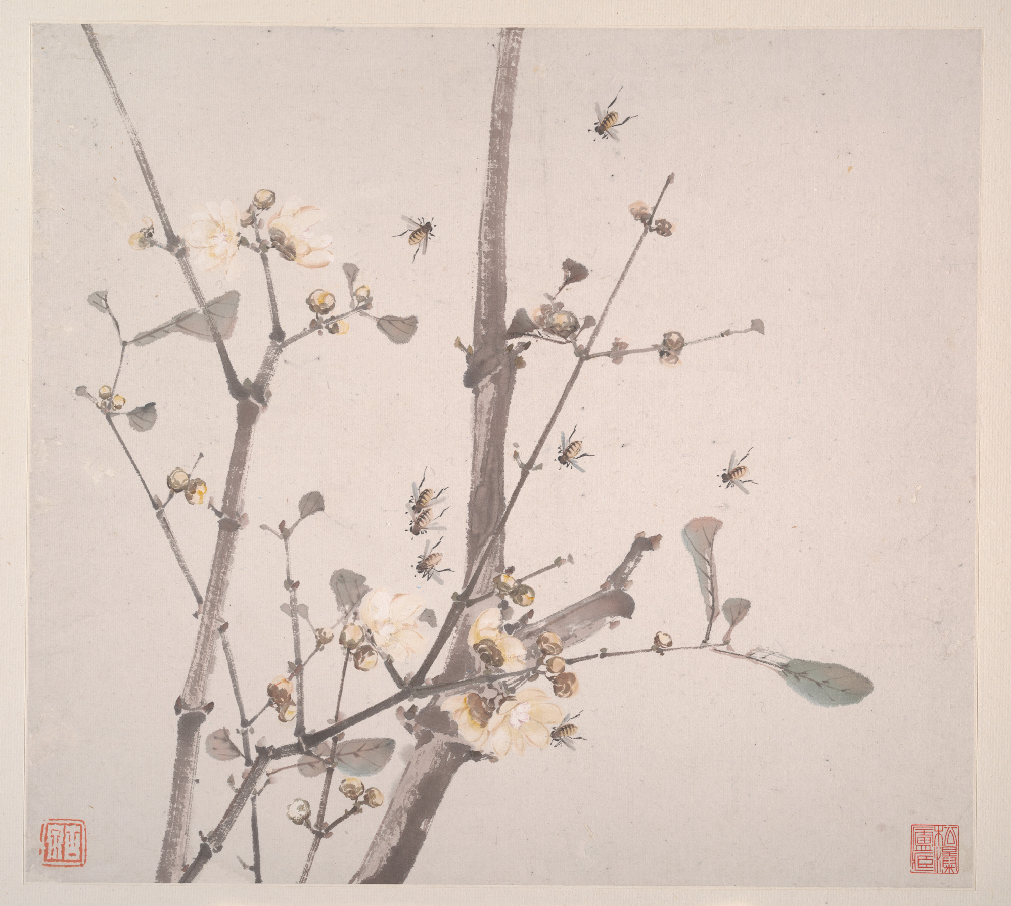 清朝、Ju Lian、花と冬虫夏草、アルバム、Octavo|昆虫と花