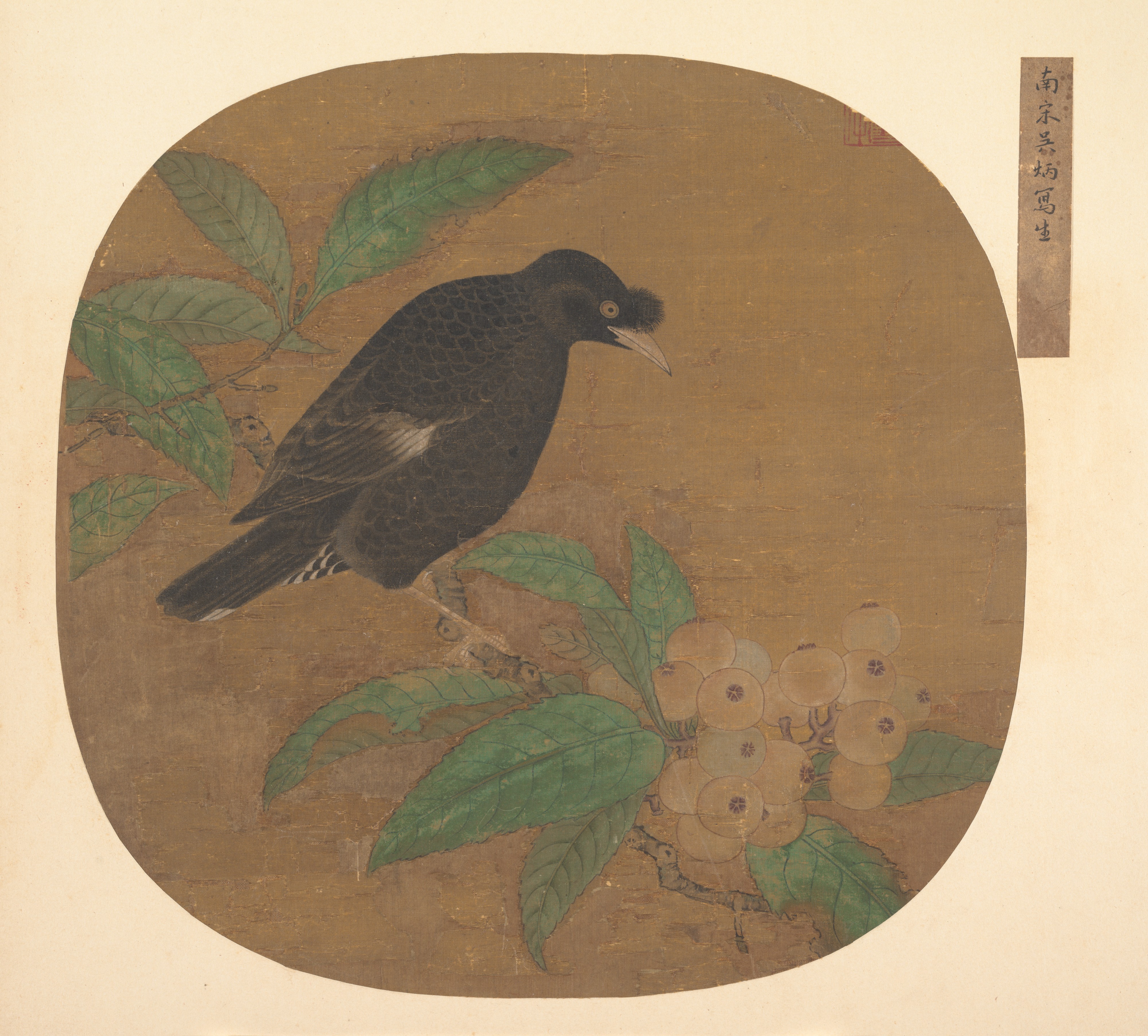 南宋時代？ Wu Bing Loquat と Myna Picture Tuan ファン ページの匿名の古い伝記 |ビワの枝にとまるミナ鳥
