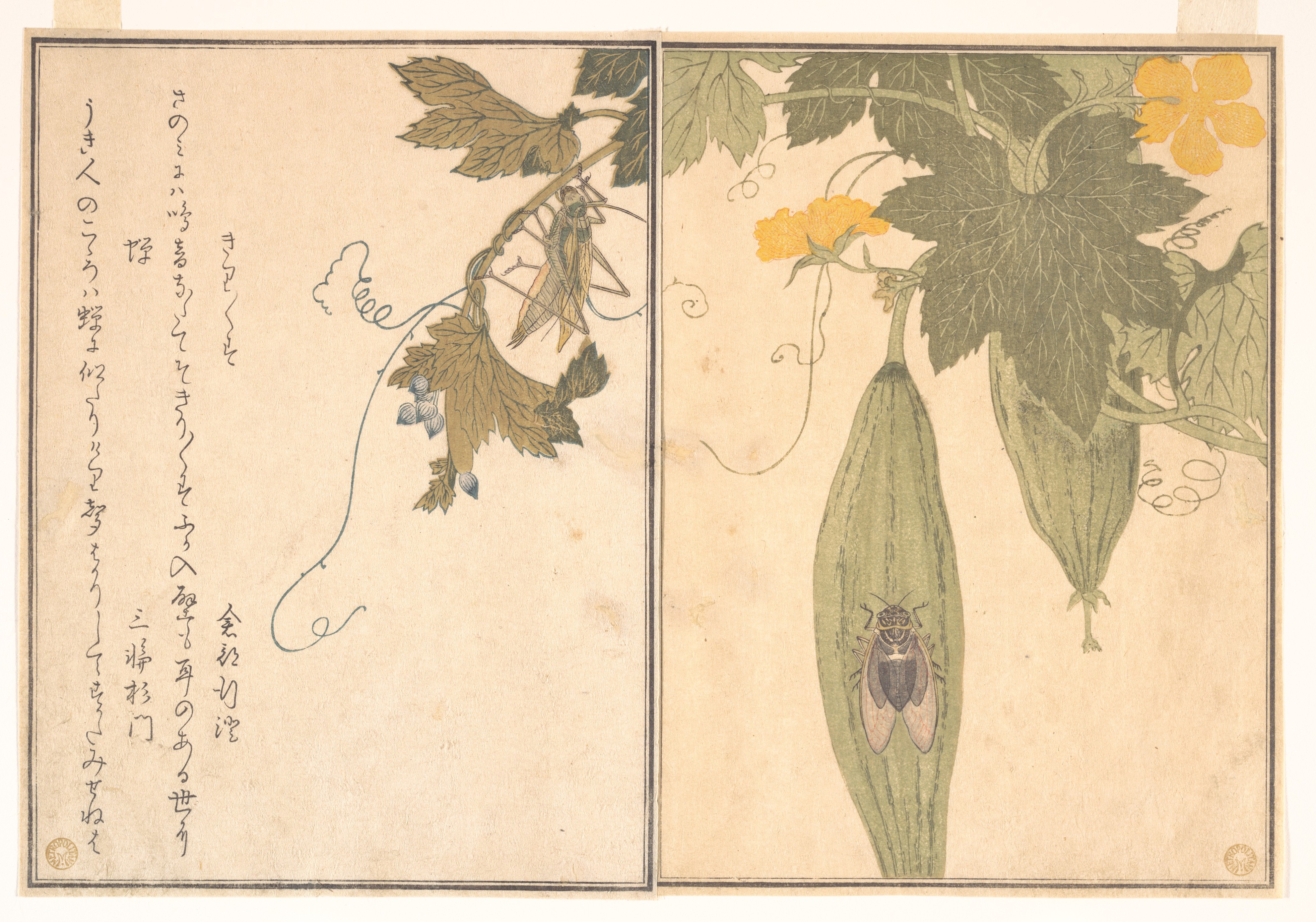 『画本虫撰』「きりきりす」「蝉」