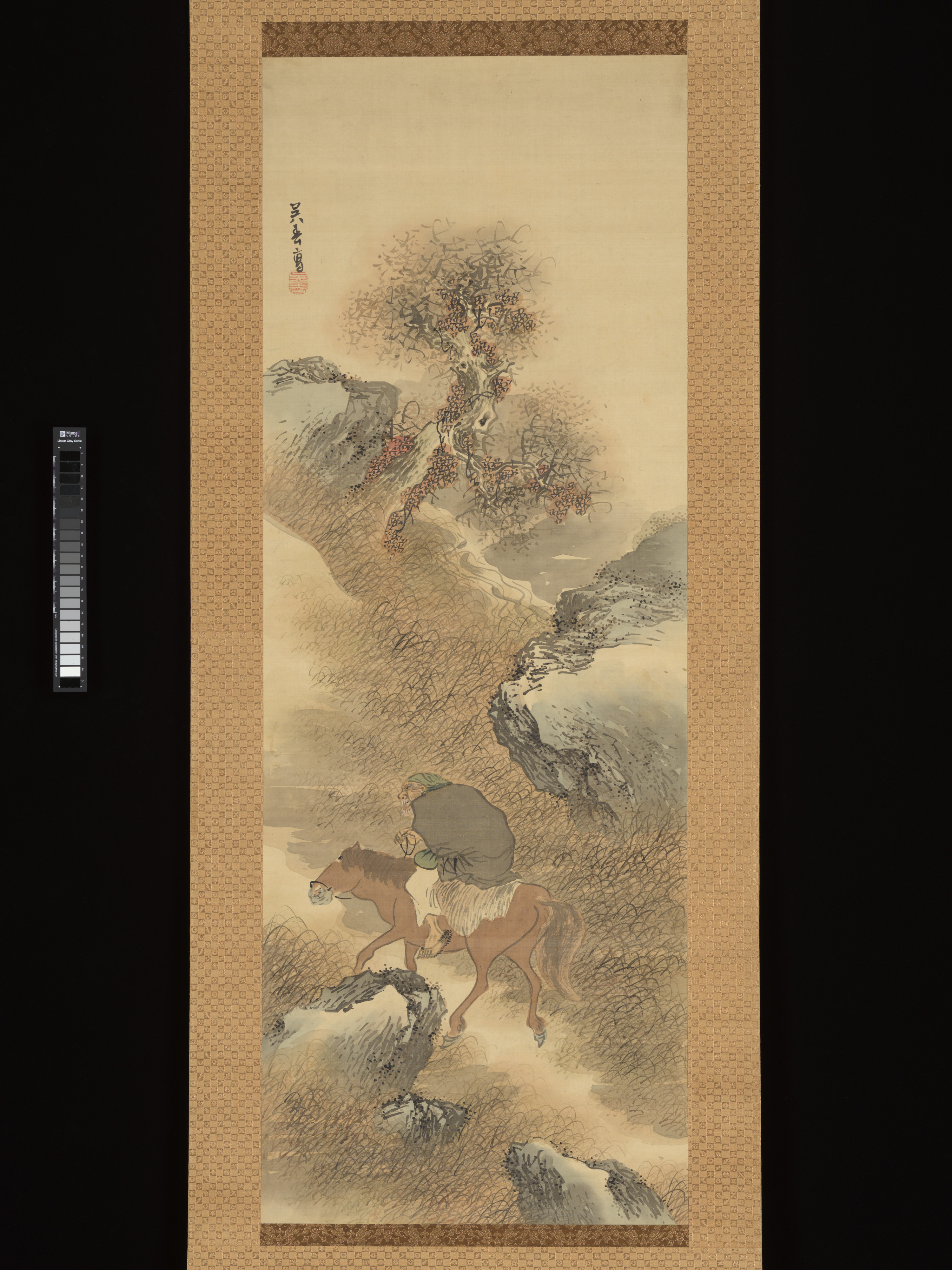 山のハーブ採集者