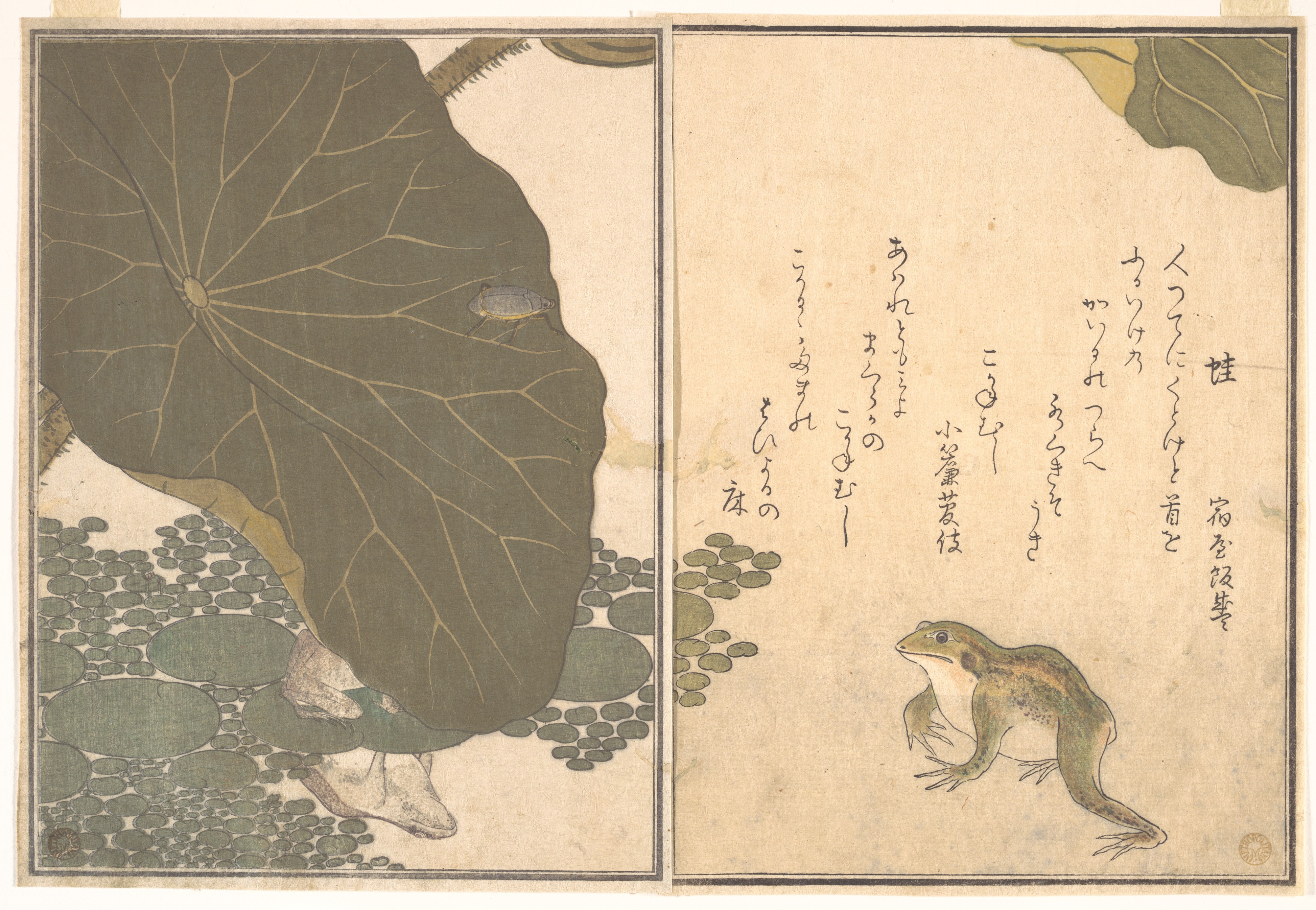 『画本虫撰』「蛙」「こかねむし」