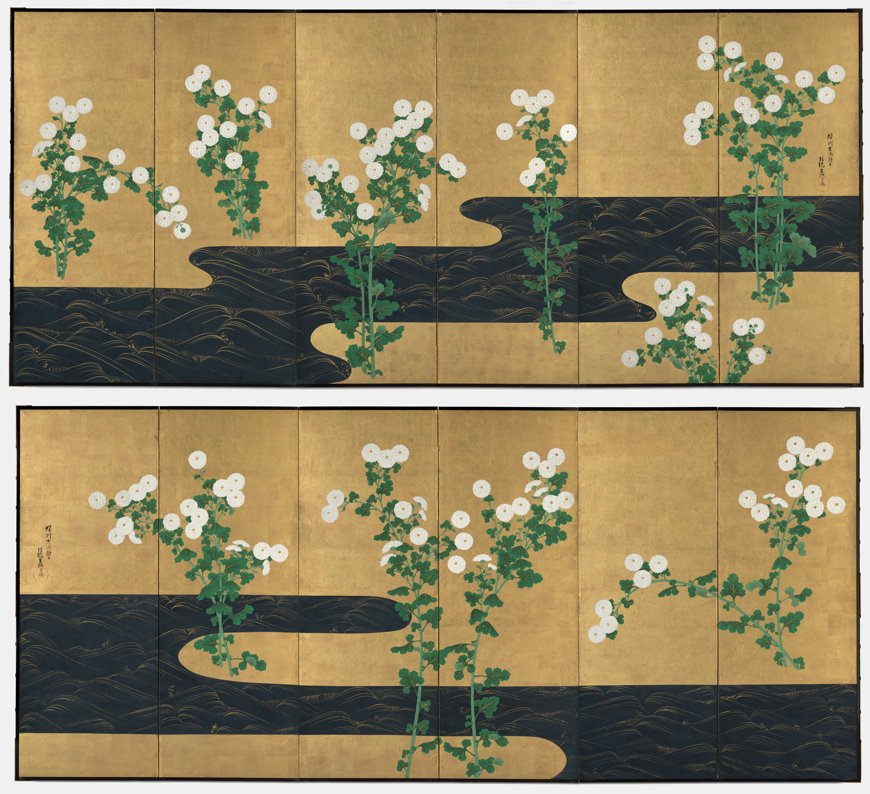 小川のほとりの菊