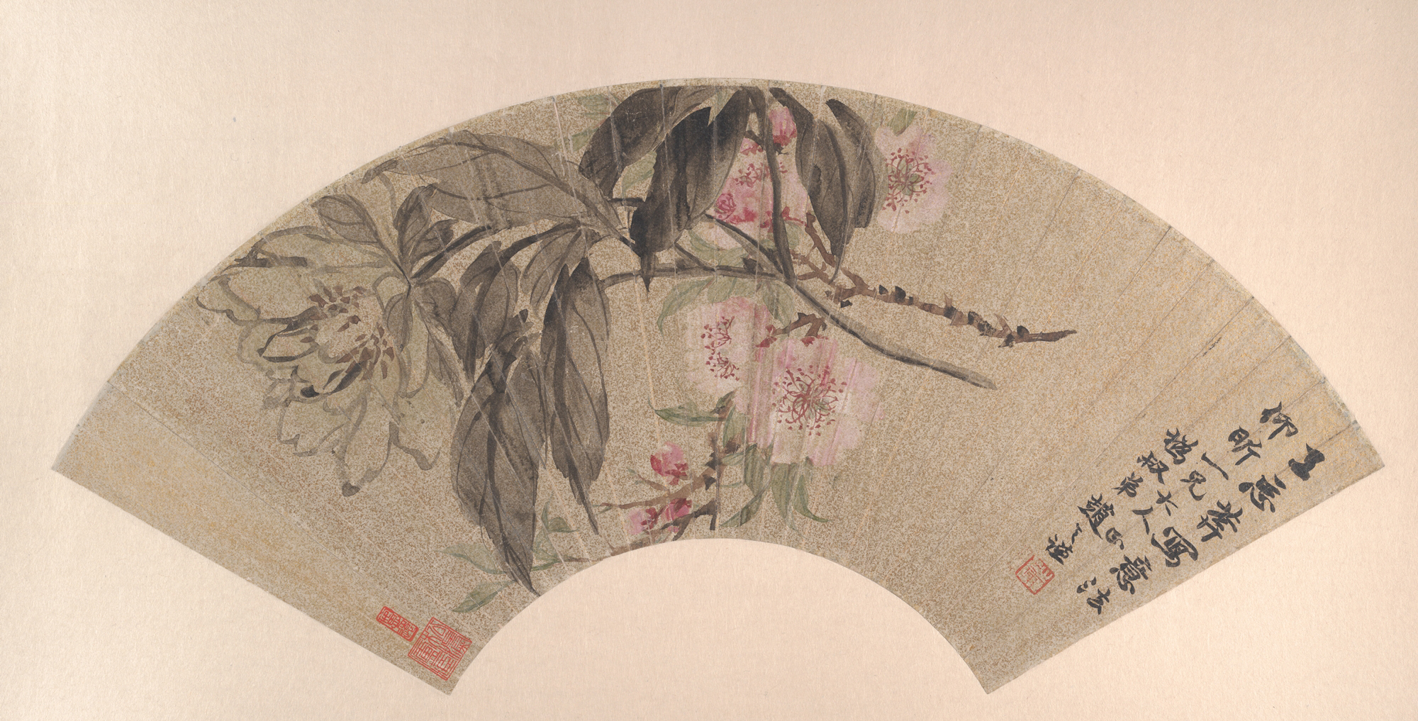 清朝趙志謙牡丹桃花扇 |桃の花と牡丹