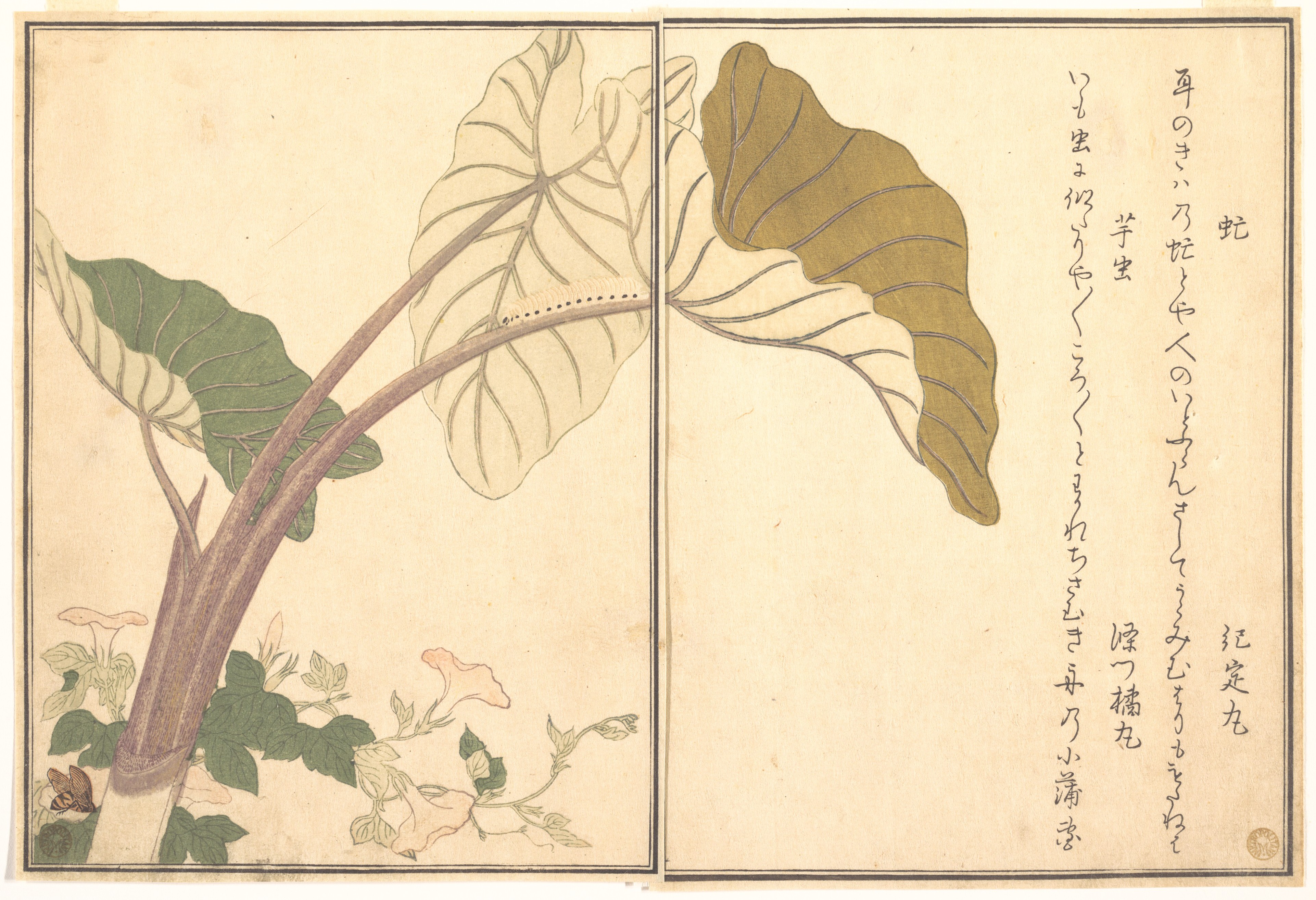 アブ（アブ）。はいもむし えほんむしえらみより 青虫 いもむし