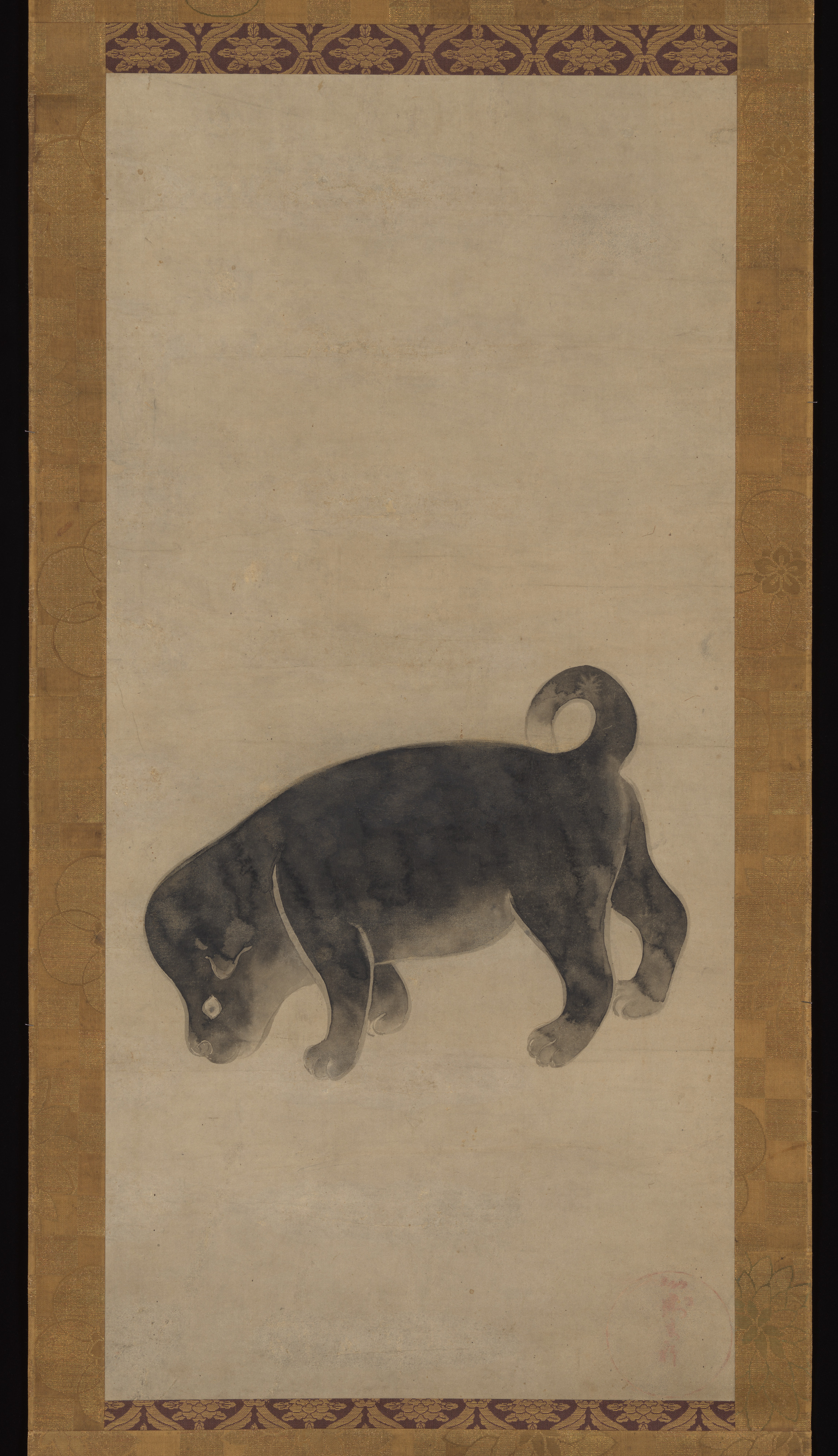 子犬