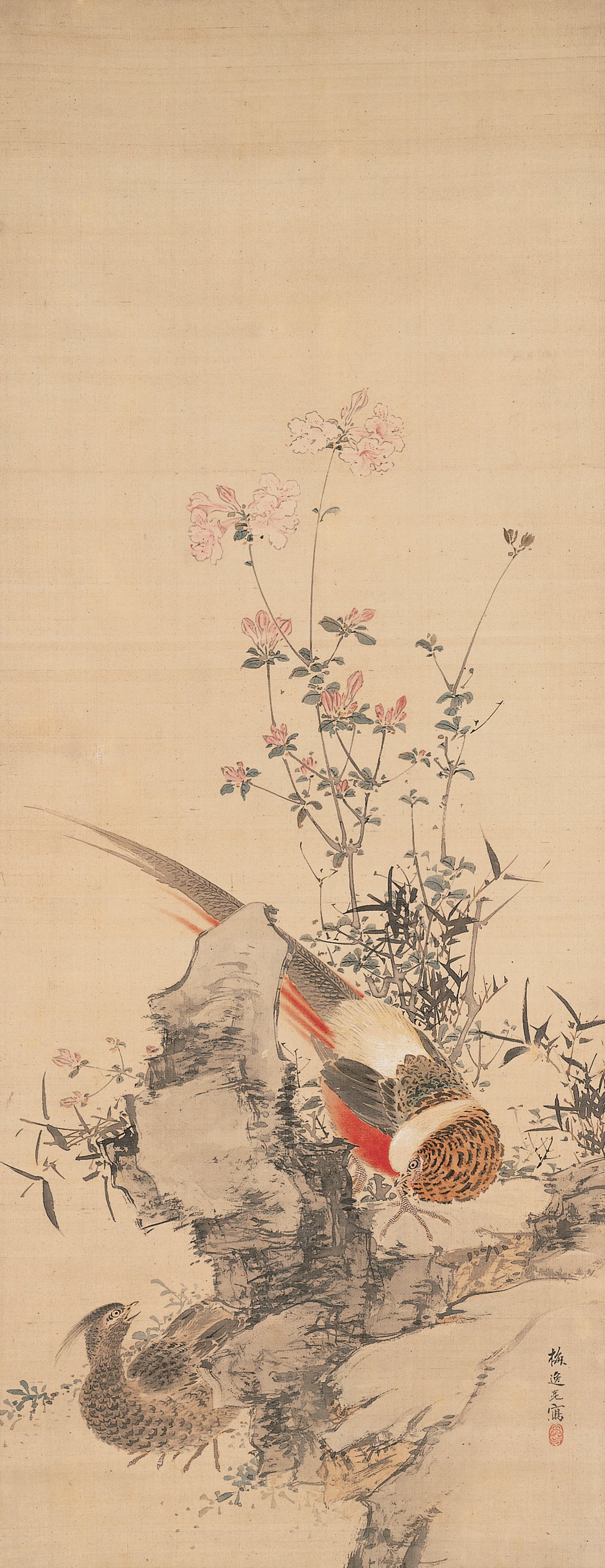 花と雉