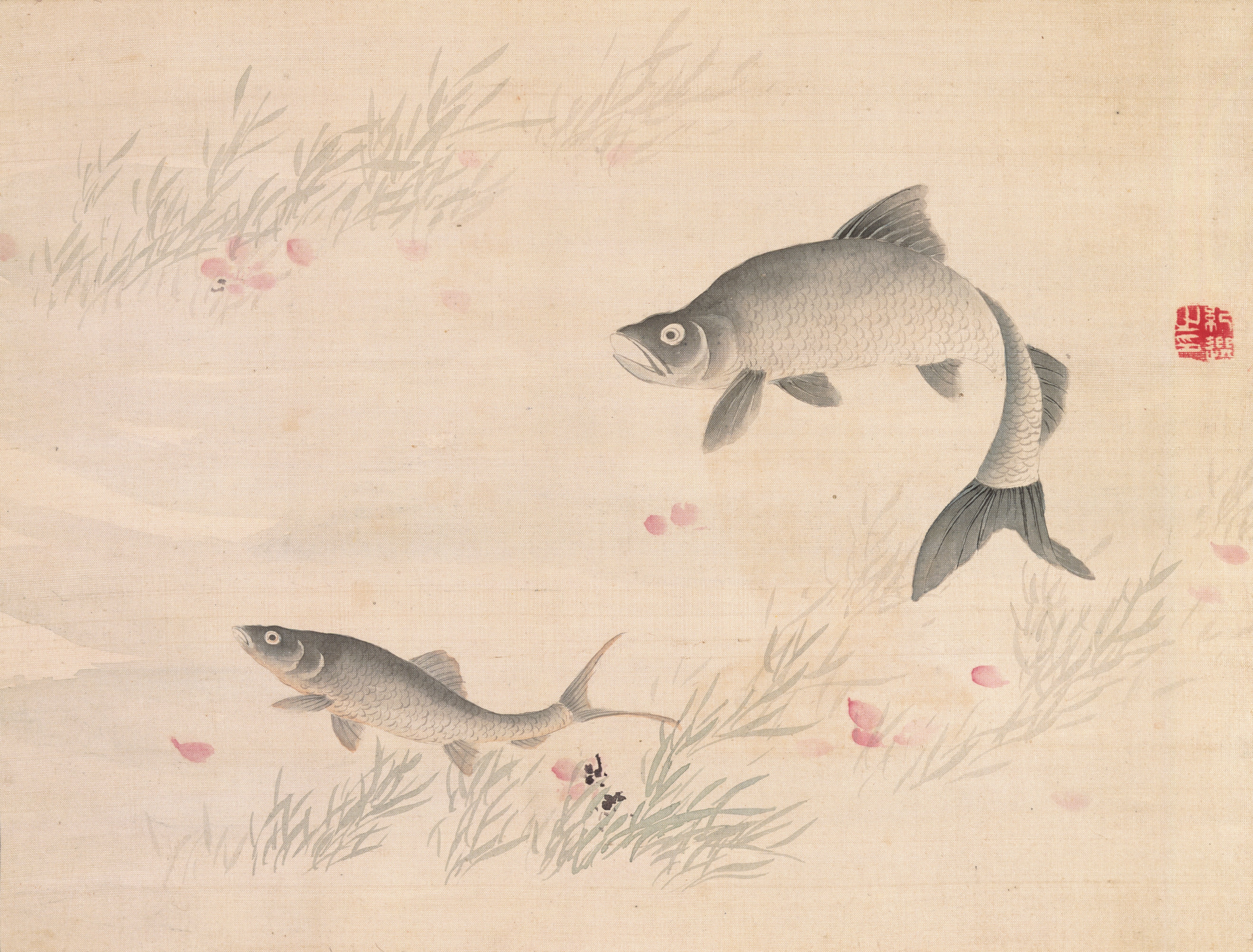 草花・魚・鳥の写生（桜と魚）