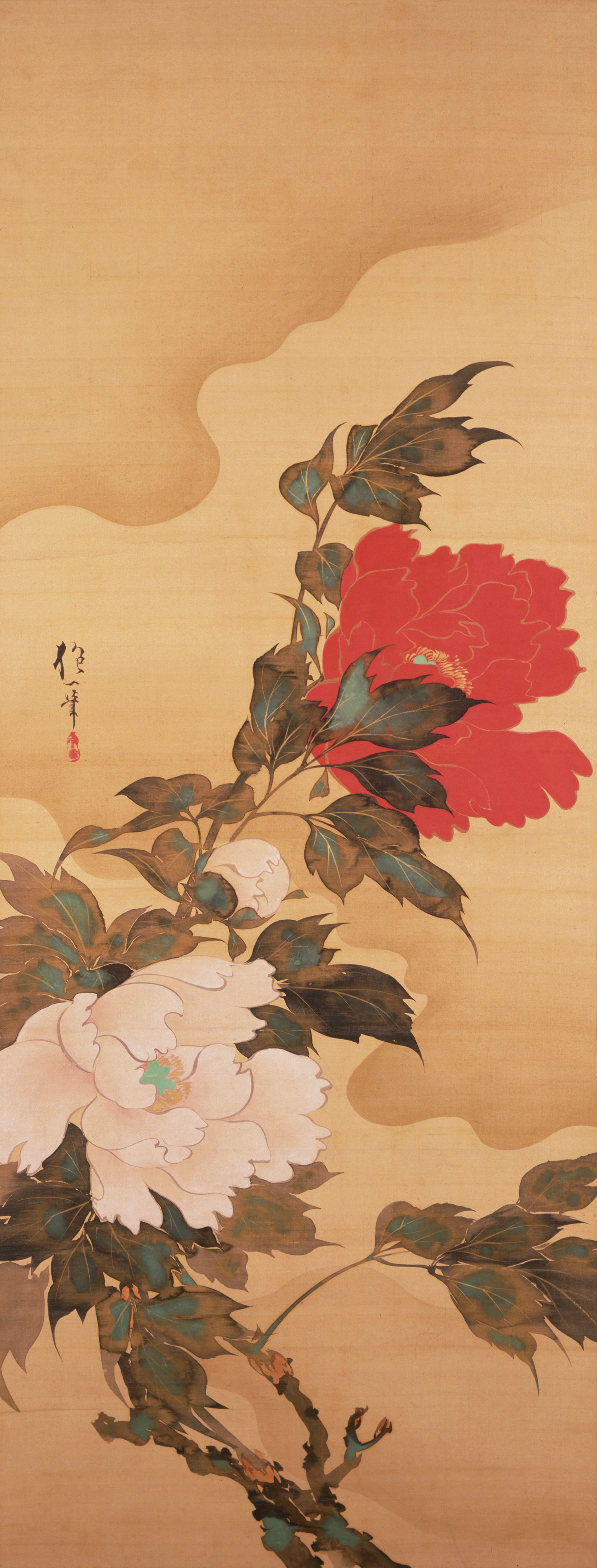風の中の牡丹