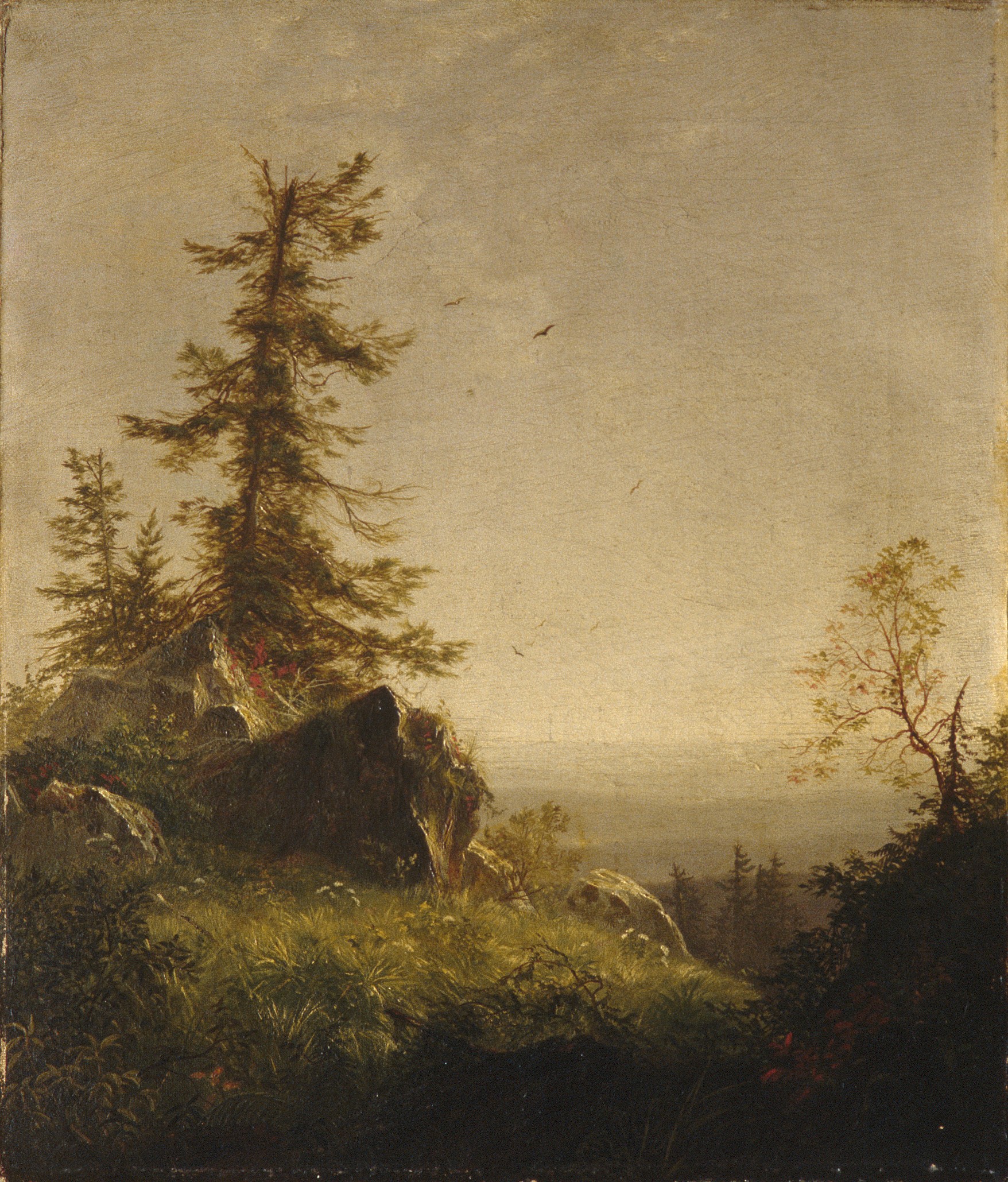 山の朝