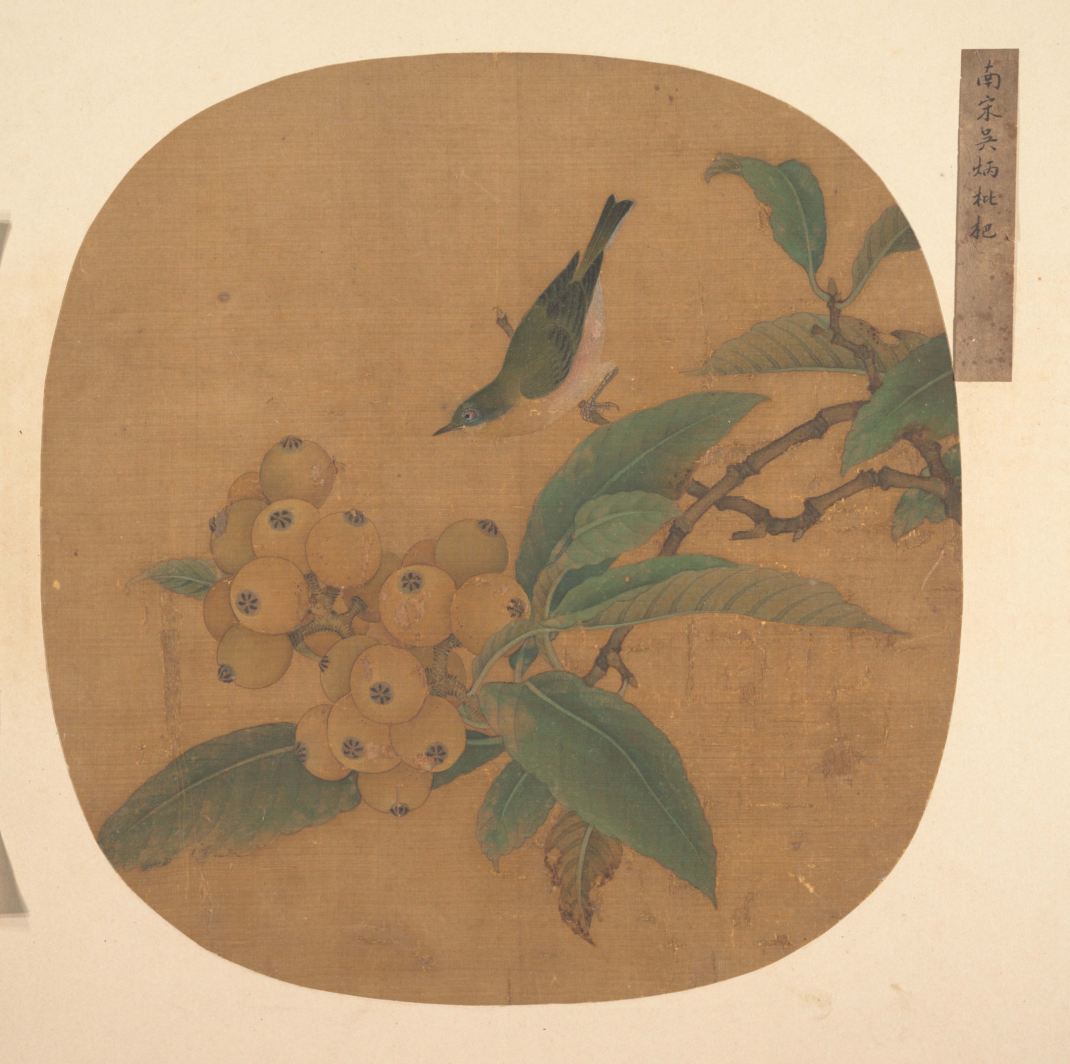 明代の無名（古い伝記） 呉氷枇杷扇|枇杷の木の鳥