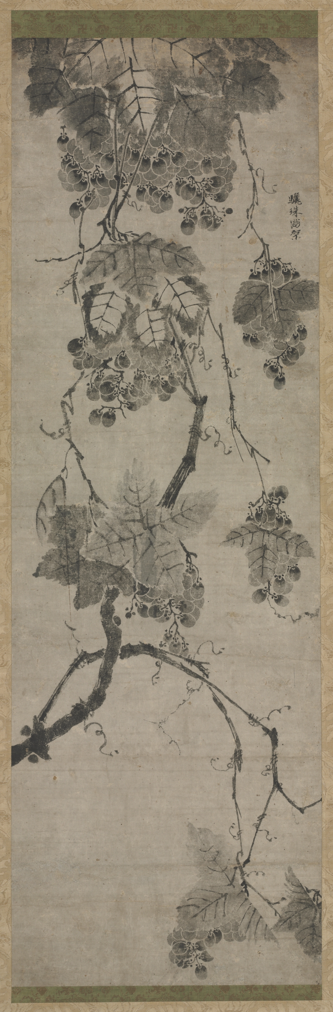 葡萄