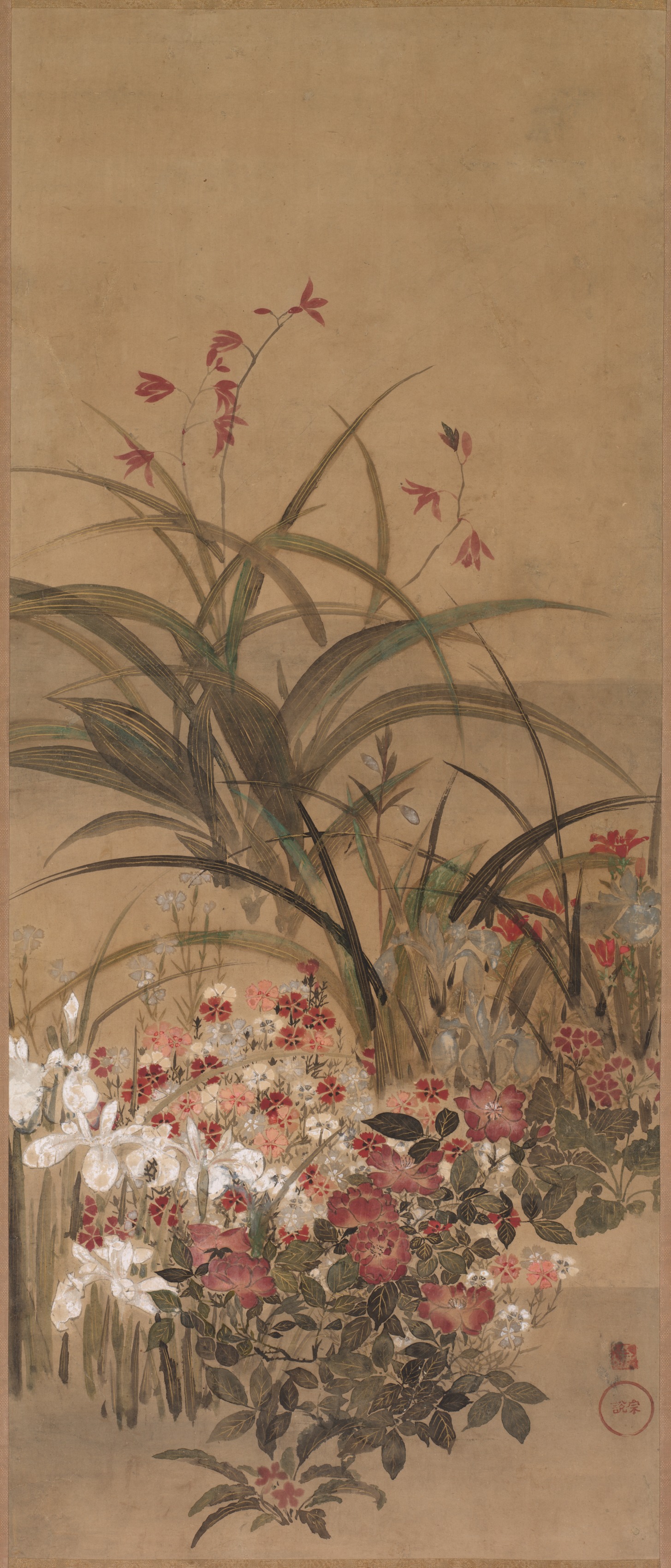 夏の花々