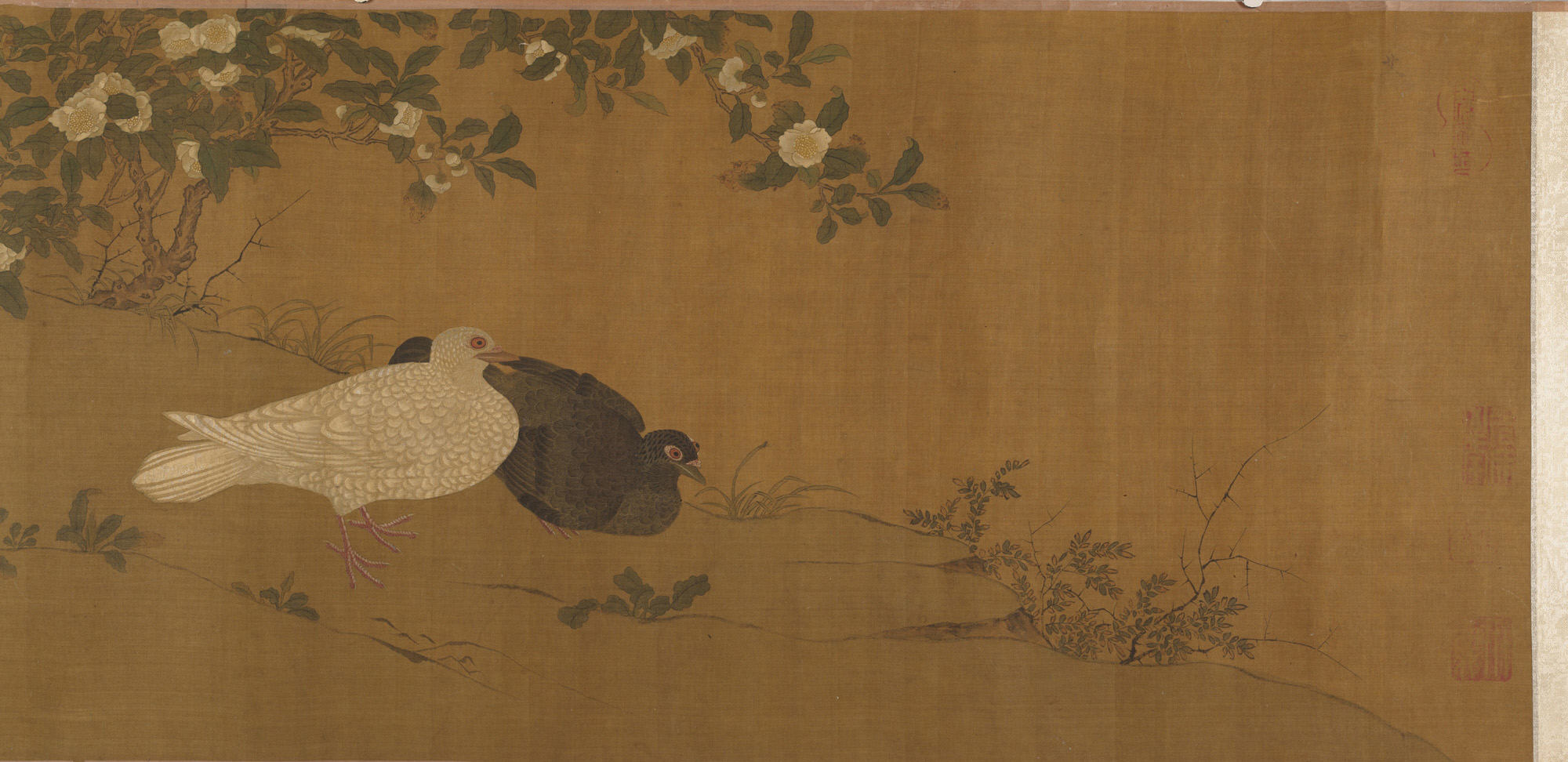 明清匿名古伝 愛玄うずら巻 |ウズラ