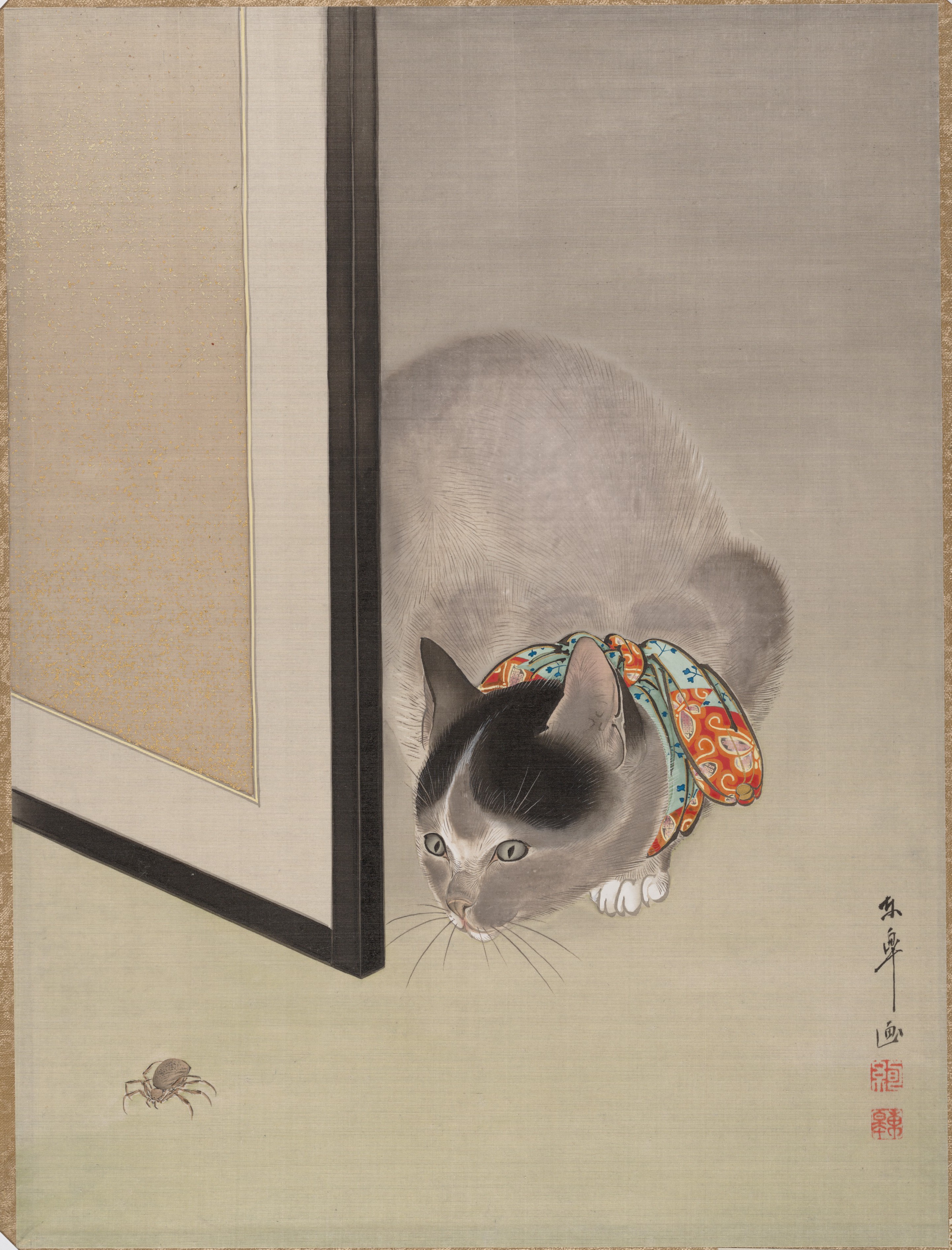 猫に蜘蛛図
