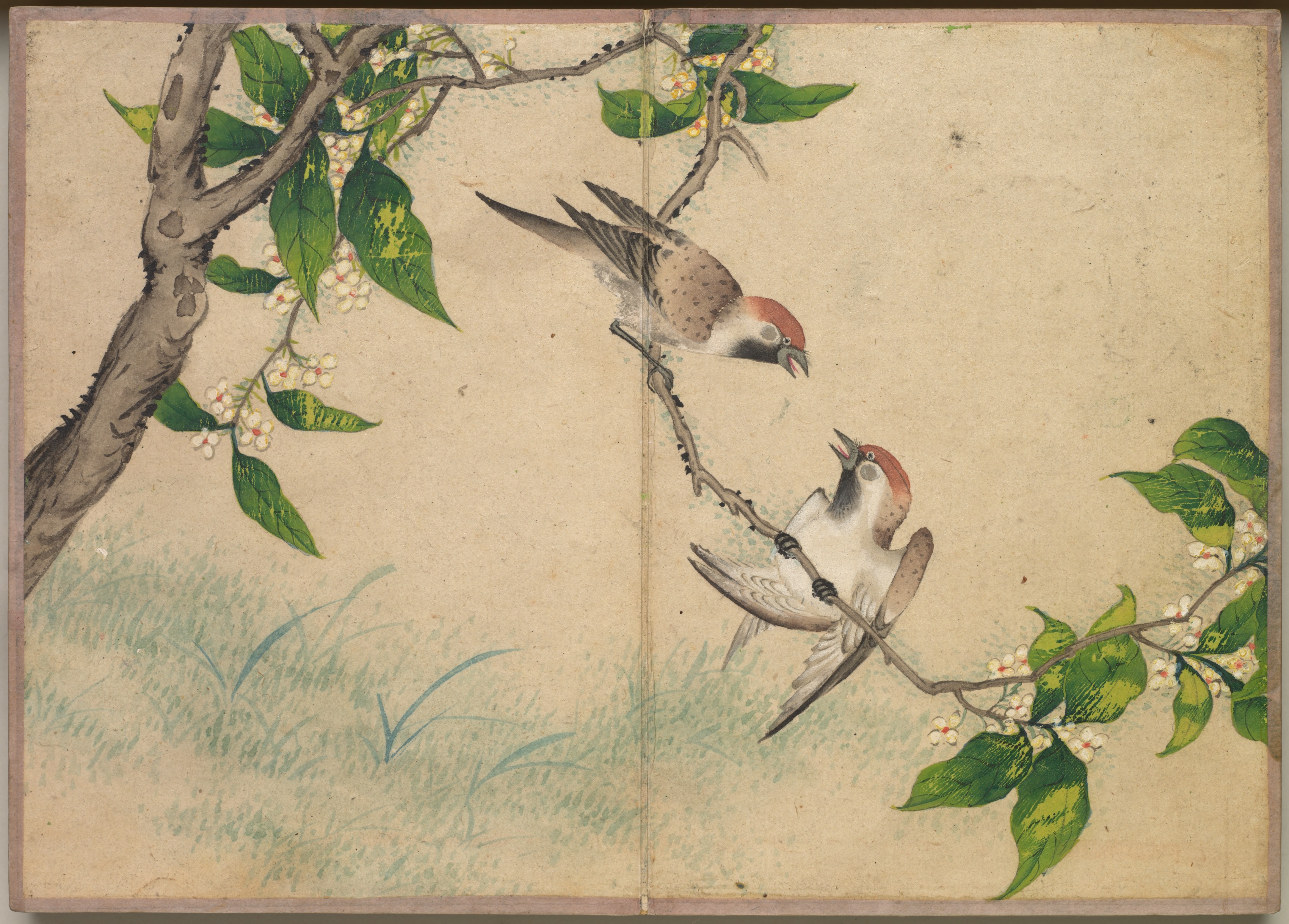 机上画帖：花鳥画（さえずる雀）