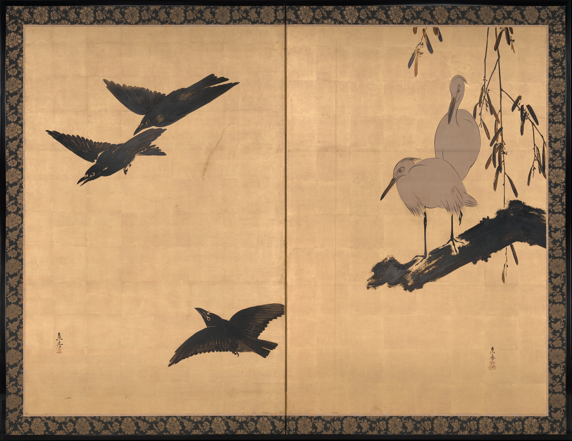 サギとカラス