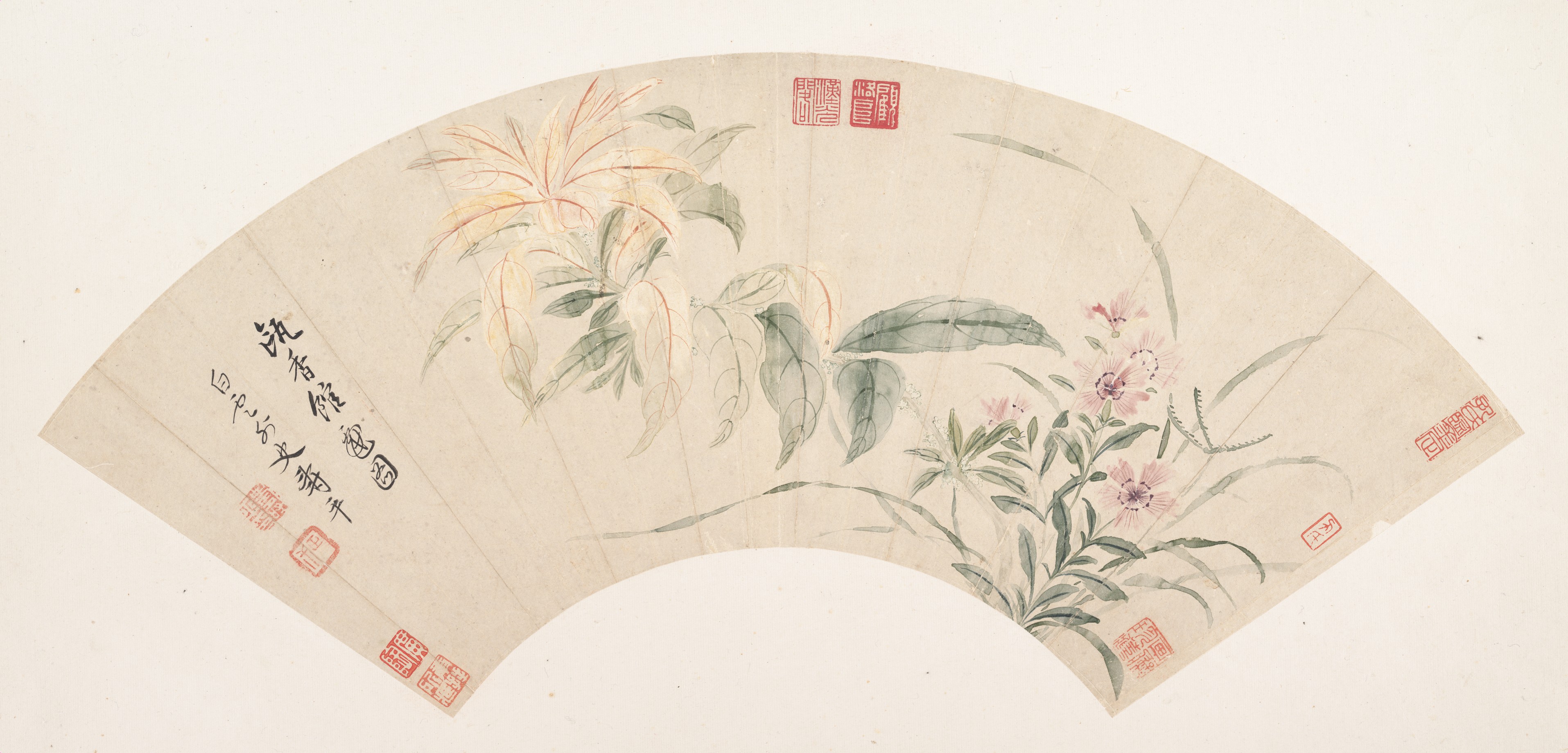 清代尹寿平花絵扇子|カーネーションとアマランサス