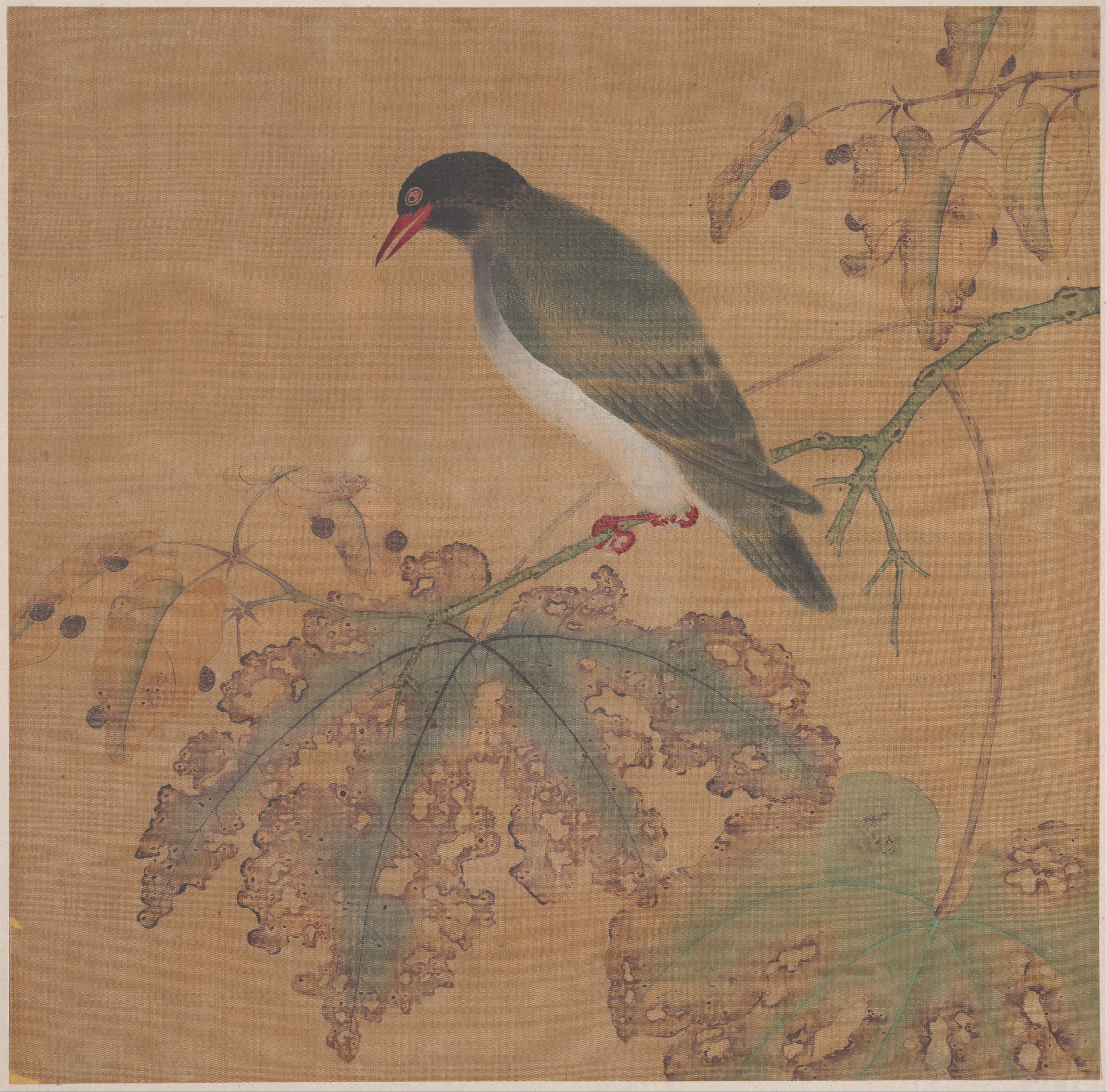 清朝の紅葉上の無名の鳥アルバム|枝上の鳥