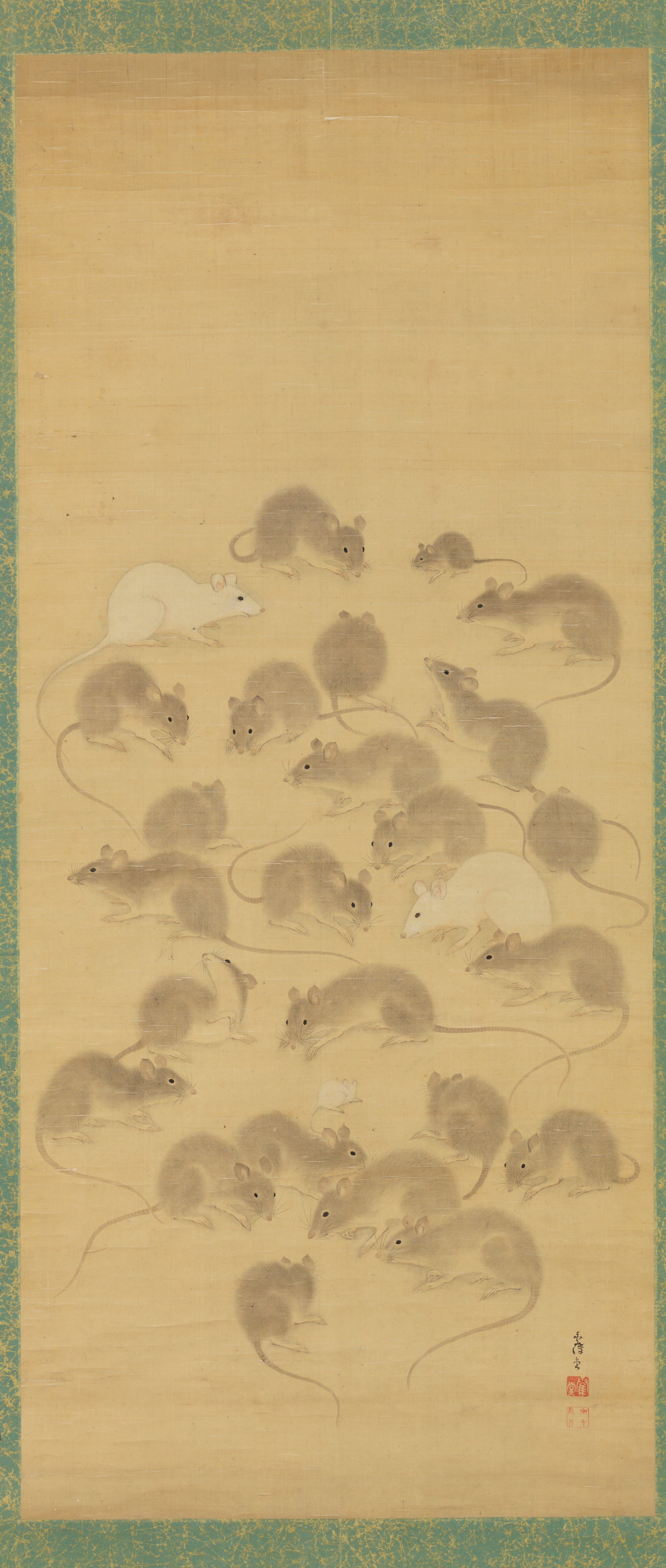 鼠