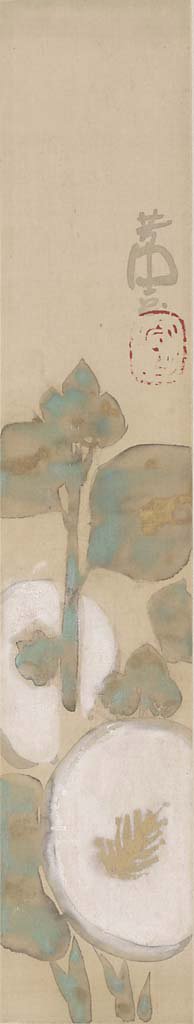 花々