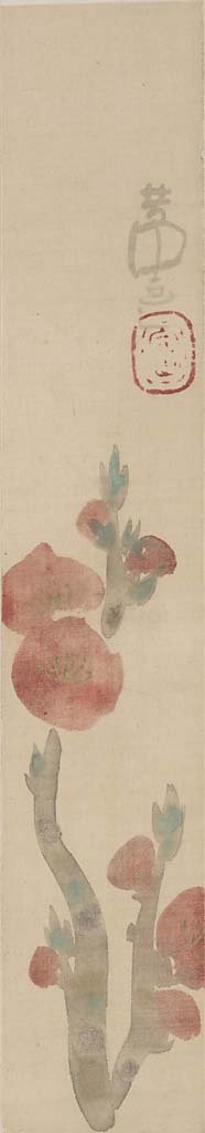 花々