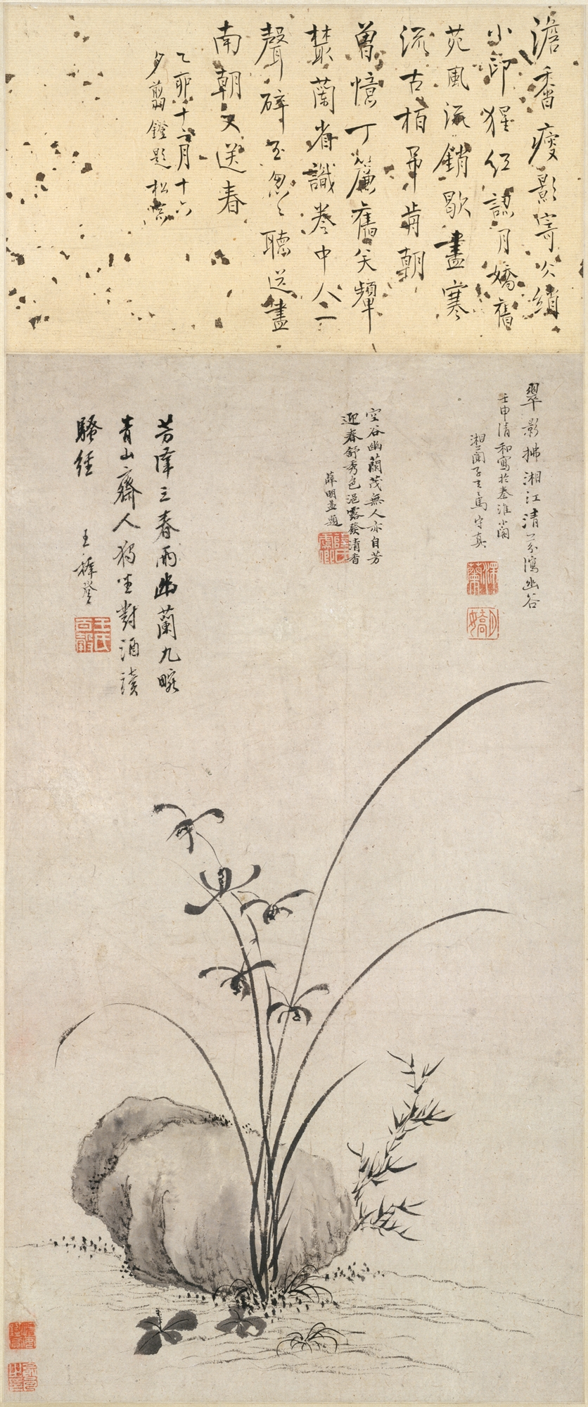 明代の川馬寿鎮蘭と岩石図の軸 |オーキッドとロック